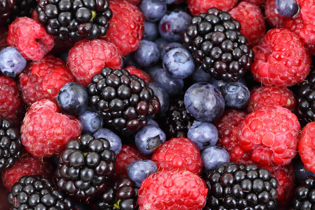 General 1280x853 berries blueberries raspberries macro food red fruit closeup
