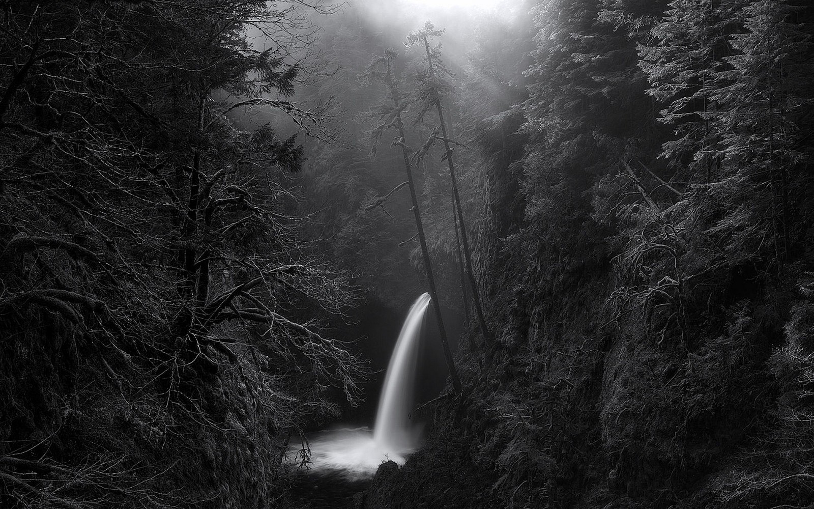 General 1600x1000 nature landscape waterfall morning sunlight forest mist canyon monochrome trees Oregon USA