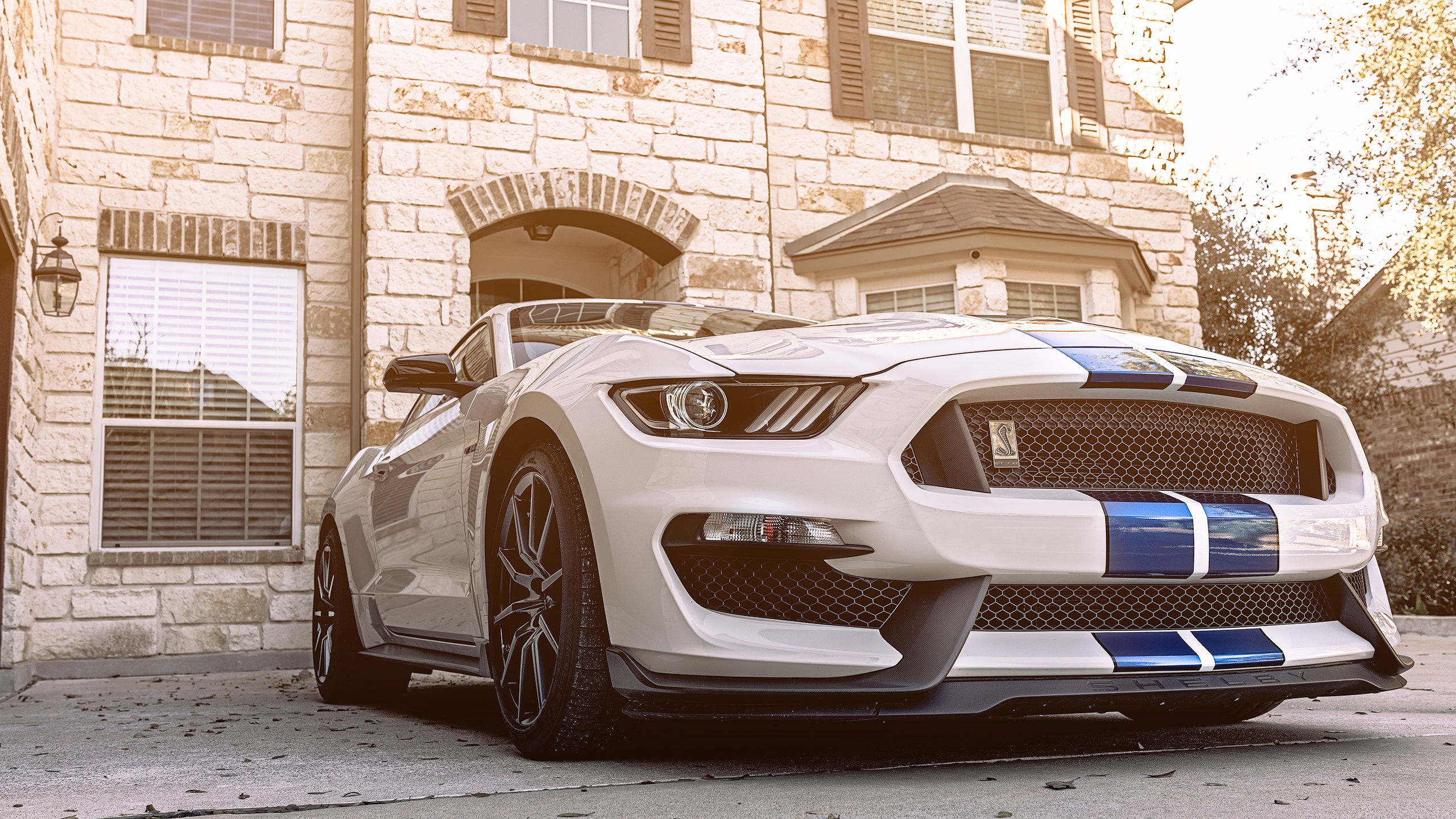 General 2560x1440 car depth of field Ford Mustang Shelby Ford Ford Mustang Ford Mustang S550 muscle cars American cars