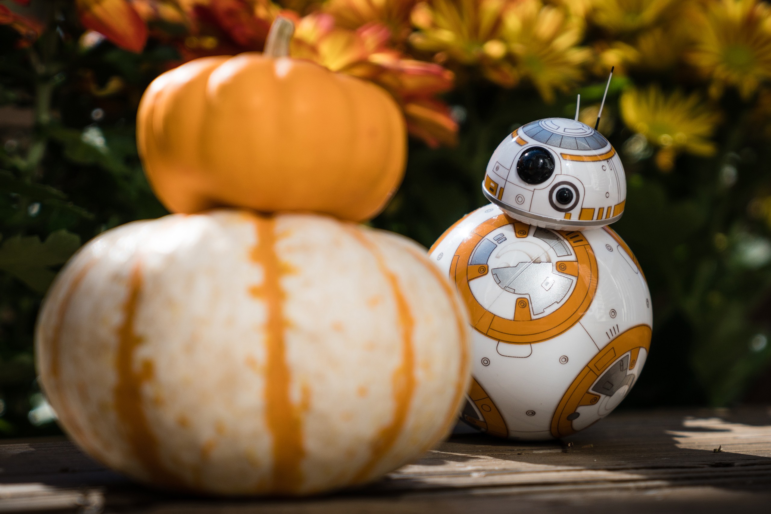 General 2560x1707 Star Wars drone BB-8 pumpkin humor digital art