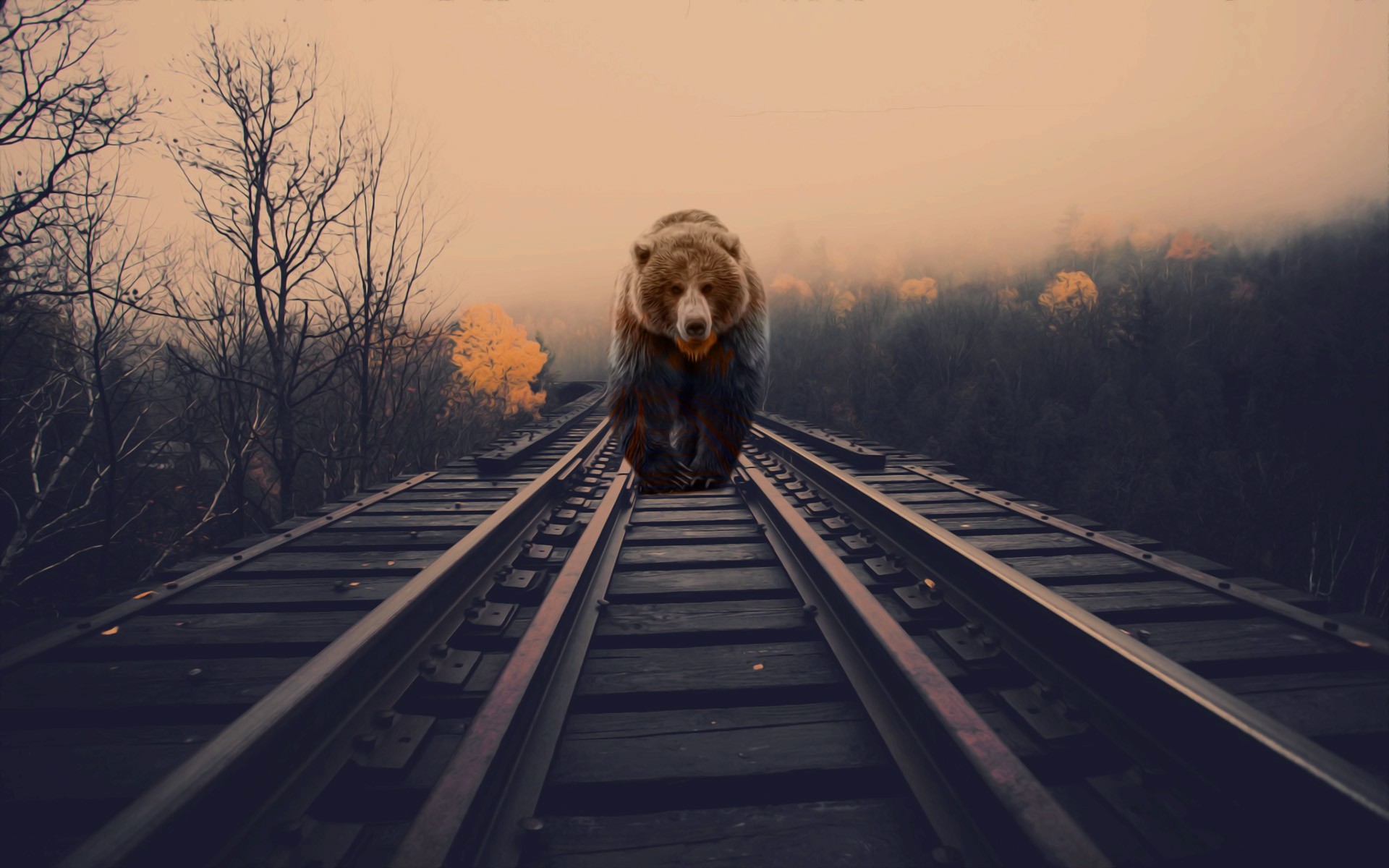 General 1920x1200 bears nature animals photo manipulation railway