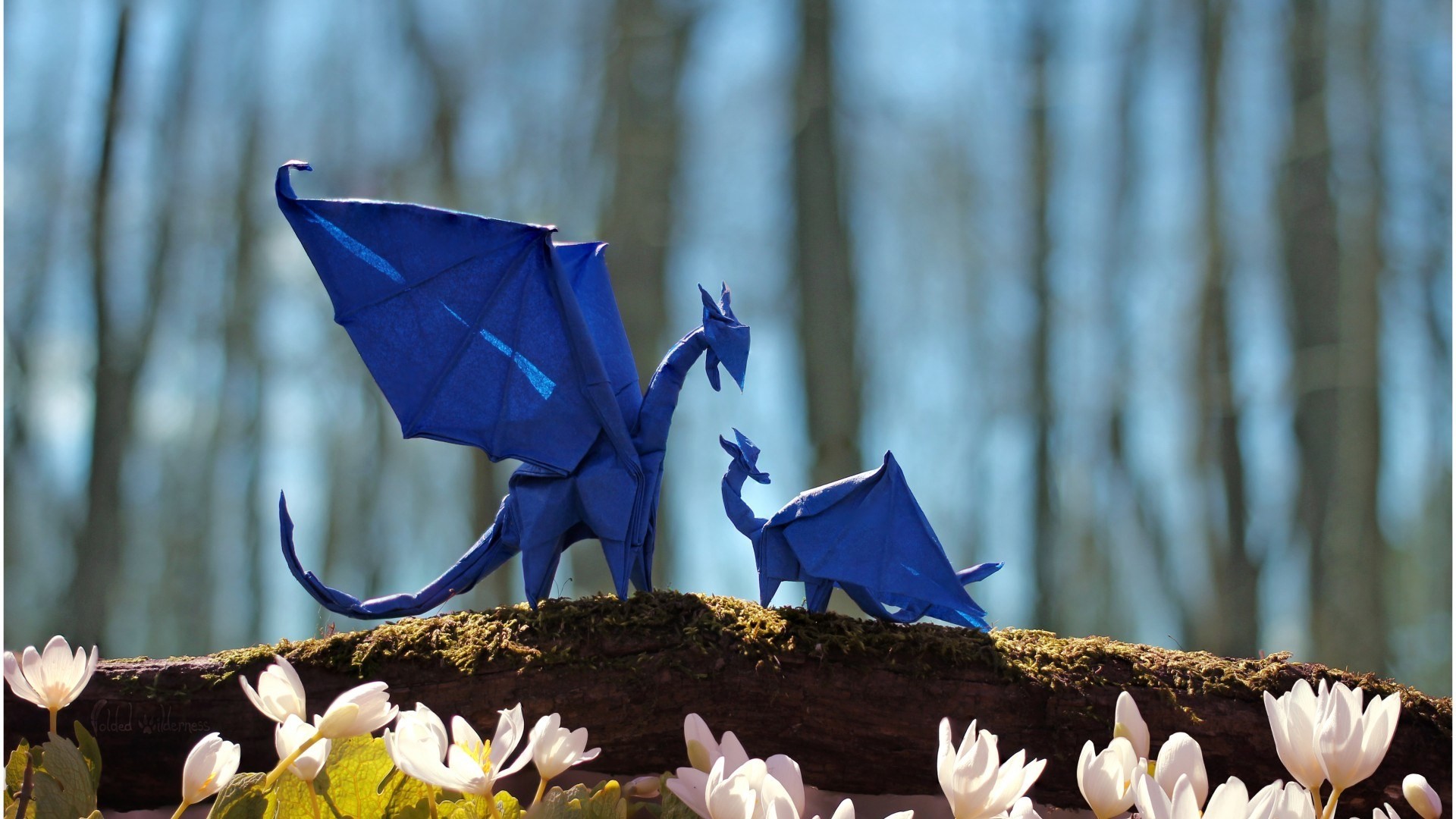 General 1920x1080 dragon wings fantasy art nature origami paper depth of field trees branch flowers tail plants