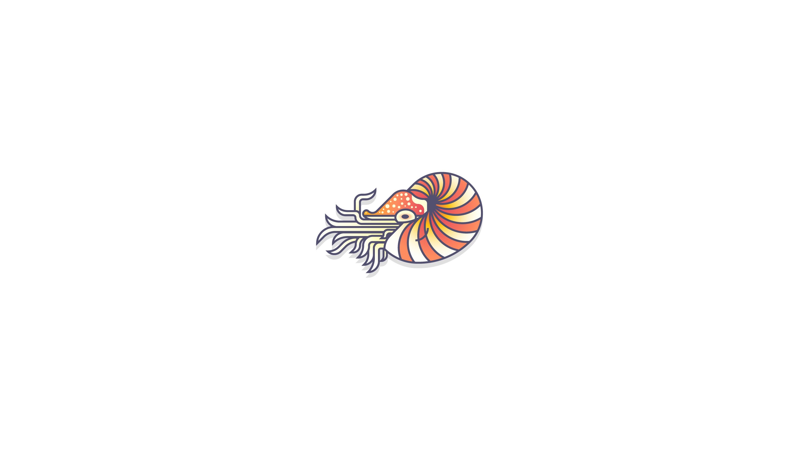 General 2560x1440 minimalism digital art simple background shrimp white background animals illustration