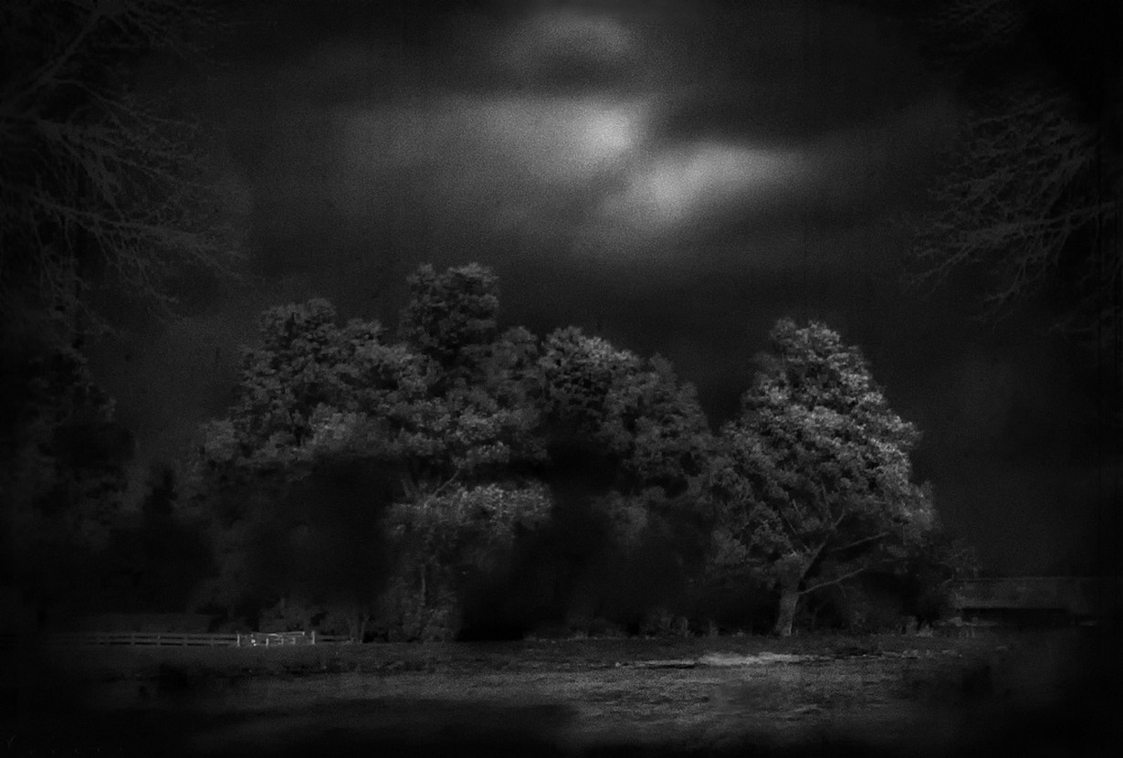 General 1230x830 photography nature monochrome moonlight trees fence clouds river Netherlands