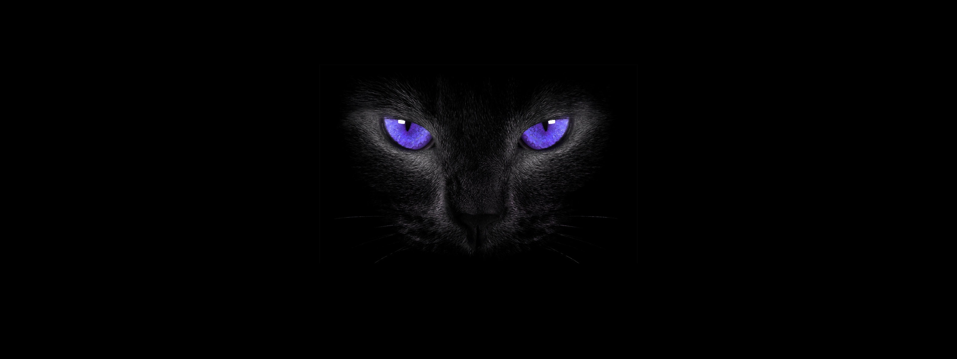 General 3080x1156 cat eyes simple background cats black cats smoky eyes