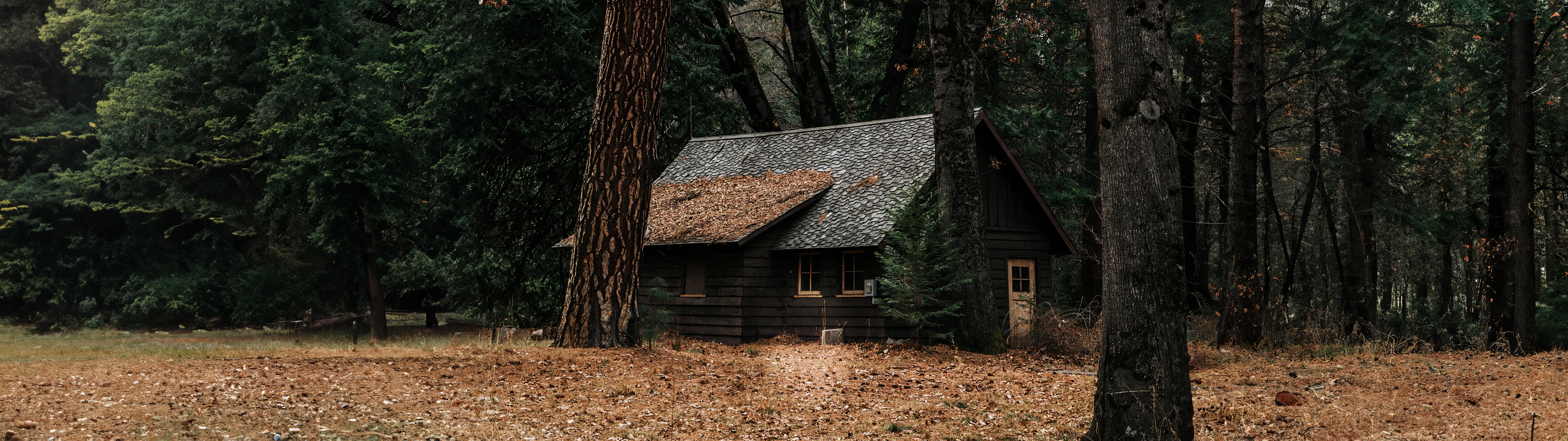 General 5120x1440 forest cabin ultrawide outdoors