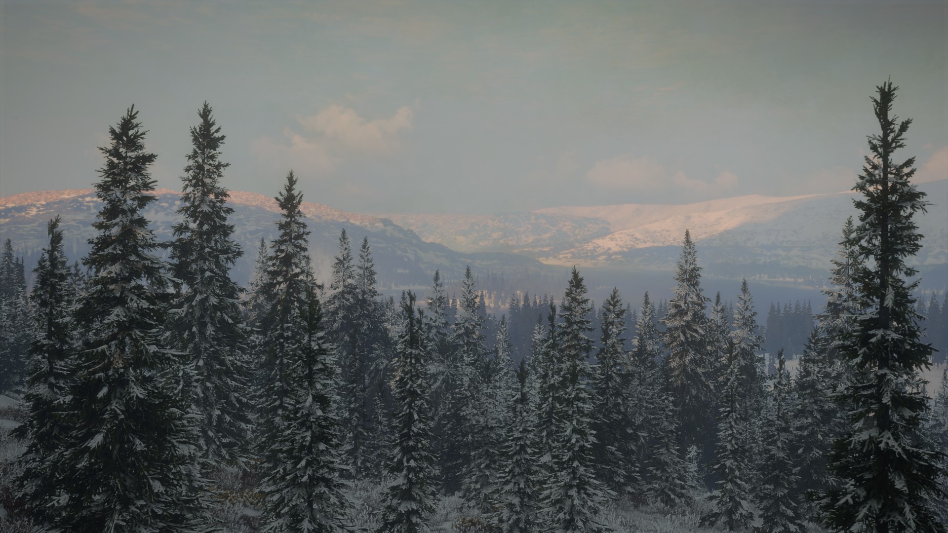 General 1920x1080 The Hunter PC gaming forest sky