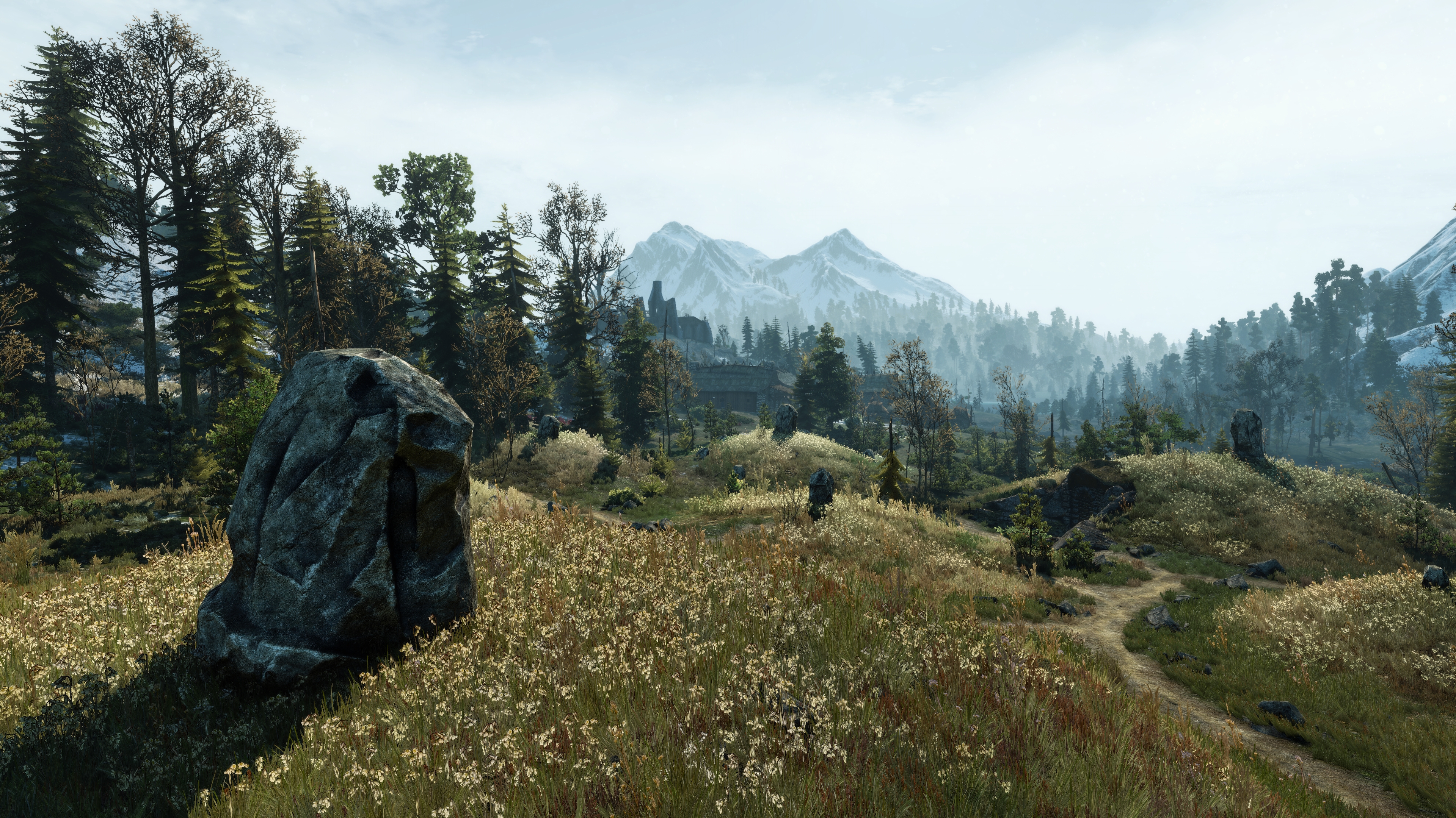 General 3840x2160 The Witcher 3: Wild Hunt screen shot PC gaming Skellige video game art video games trees mountains landscape sky path CGI flowers sunlight field nature