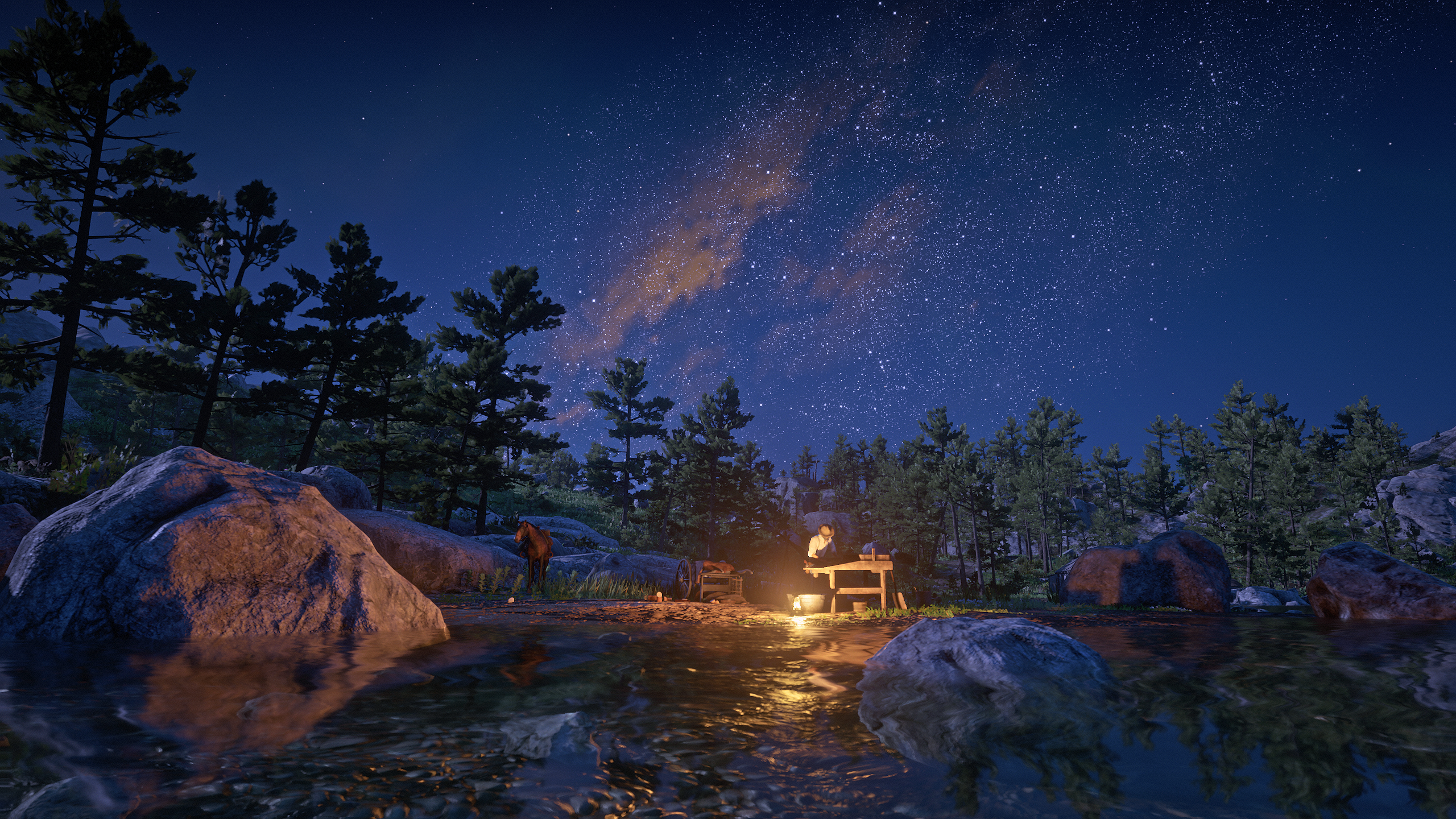 General 2560x1440 Red Dead Redemption 2 Rockstar Games video games nature landscape night sky stars CGI sky rocks