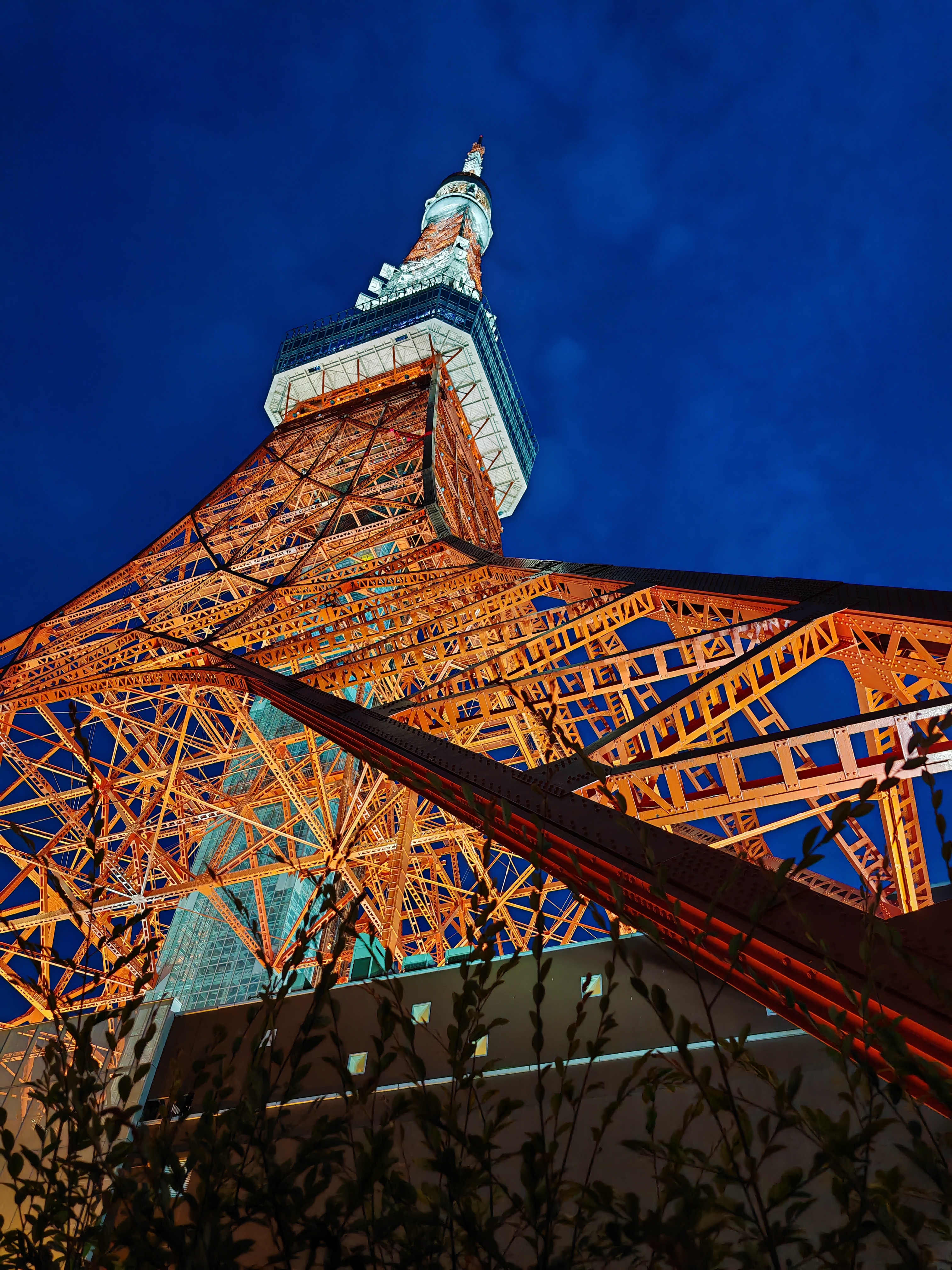 General 3024x4032 Tokyo Tower Japan portrait display sky leaves clouds lights photography Tokyo