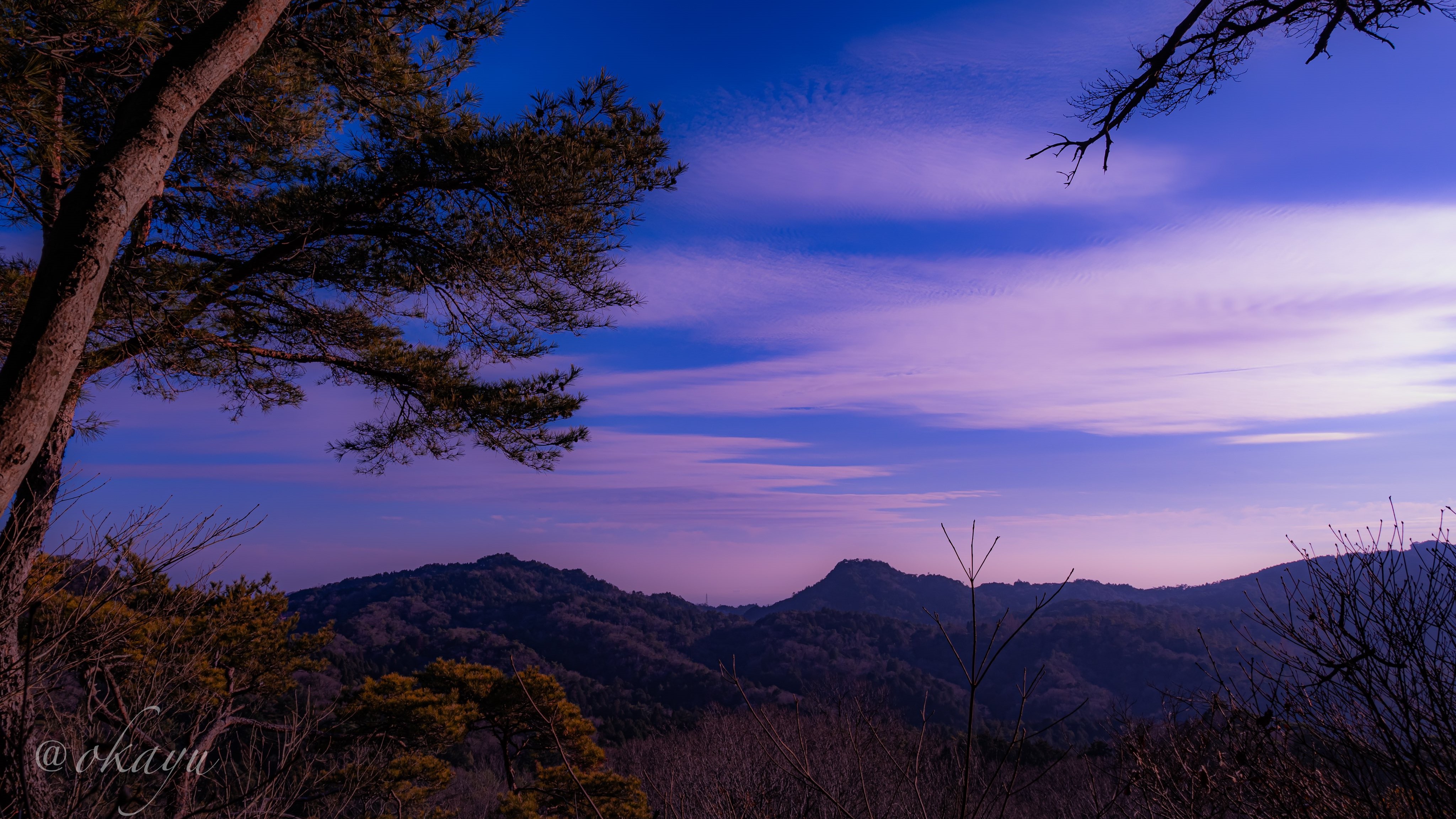 General 4096x2304 Okayu photography nature trees watermarked