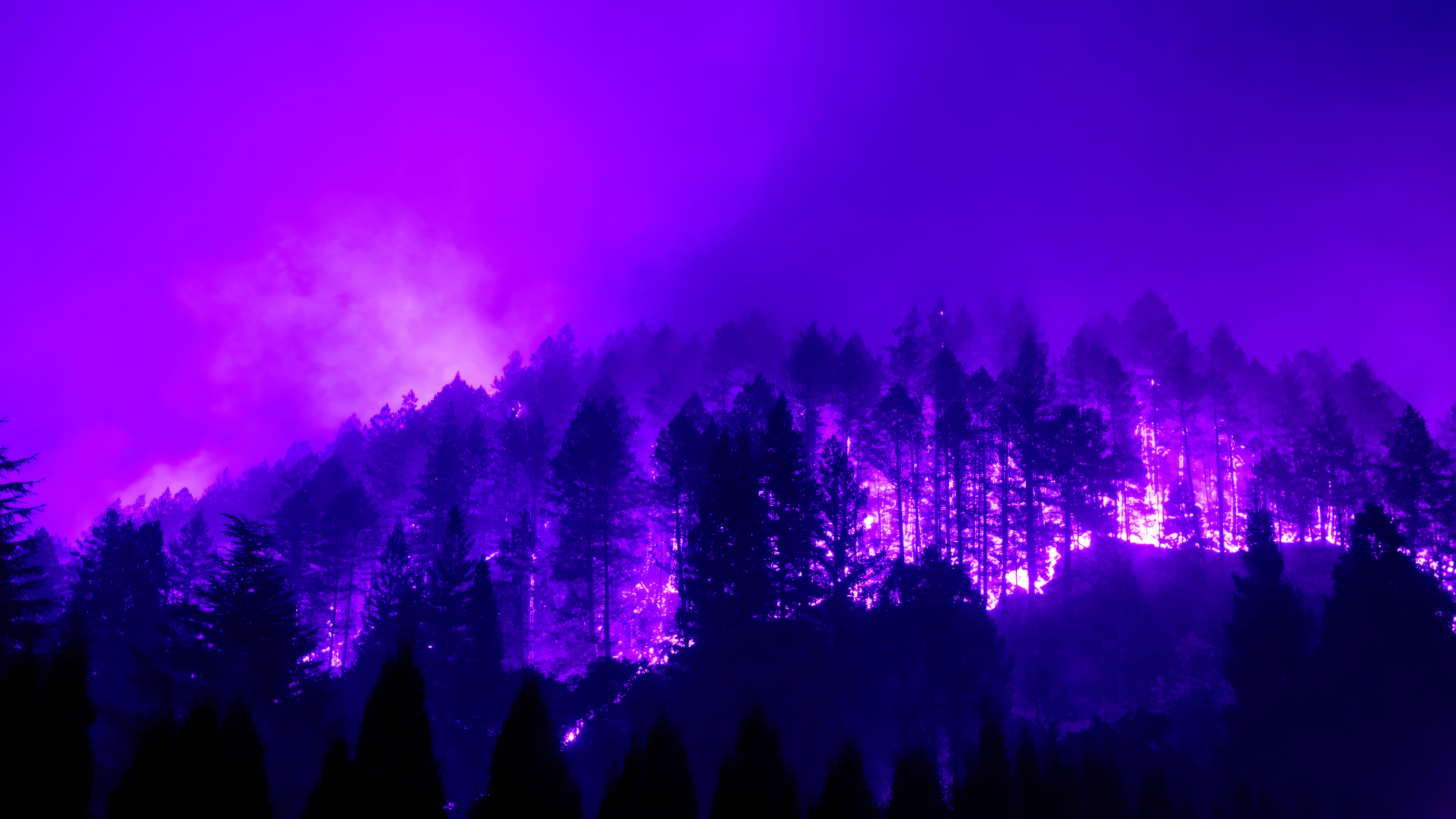 General 5120x2880 trees forest burning blue pink silhouette night