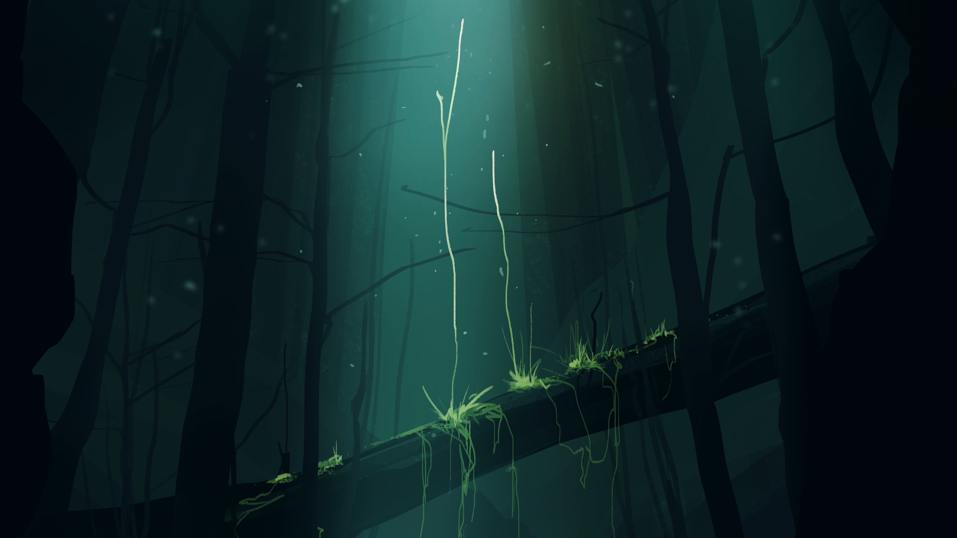 General 4000x2250 Gracile beam of light beam vines forest dark digital art artwork