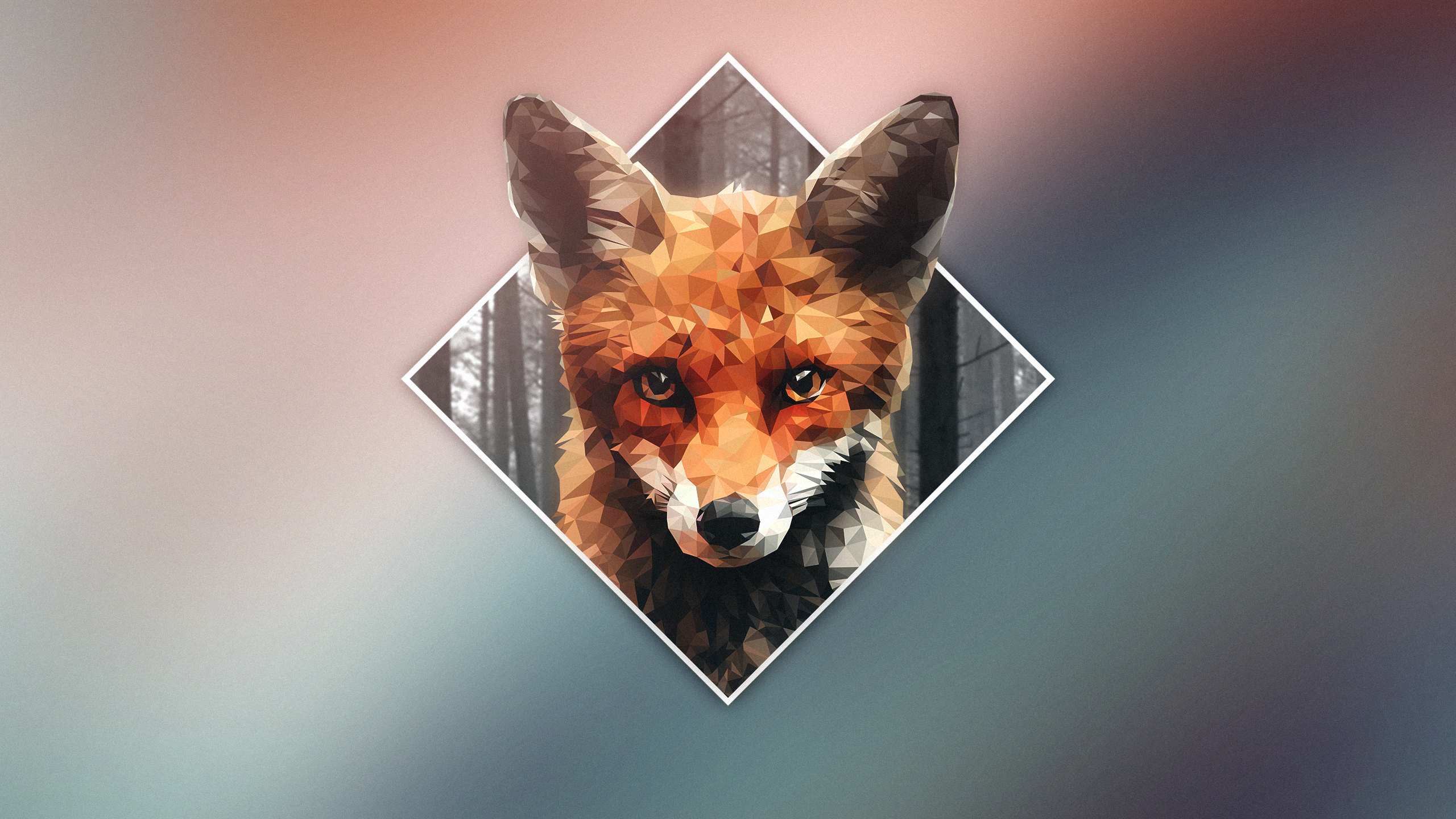 General 2560x1440 digital art low poly polygon art animals gradient simple background minimalism fox