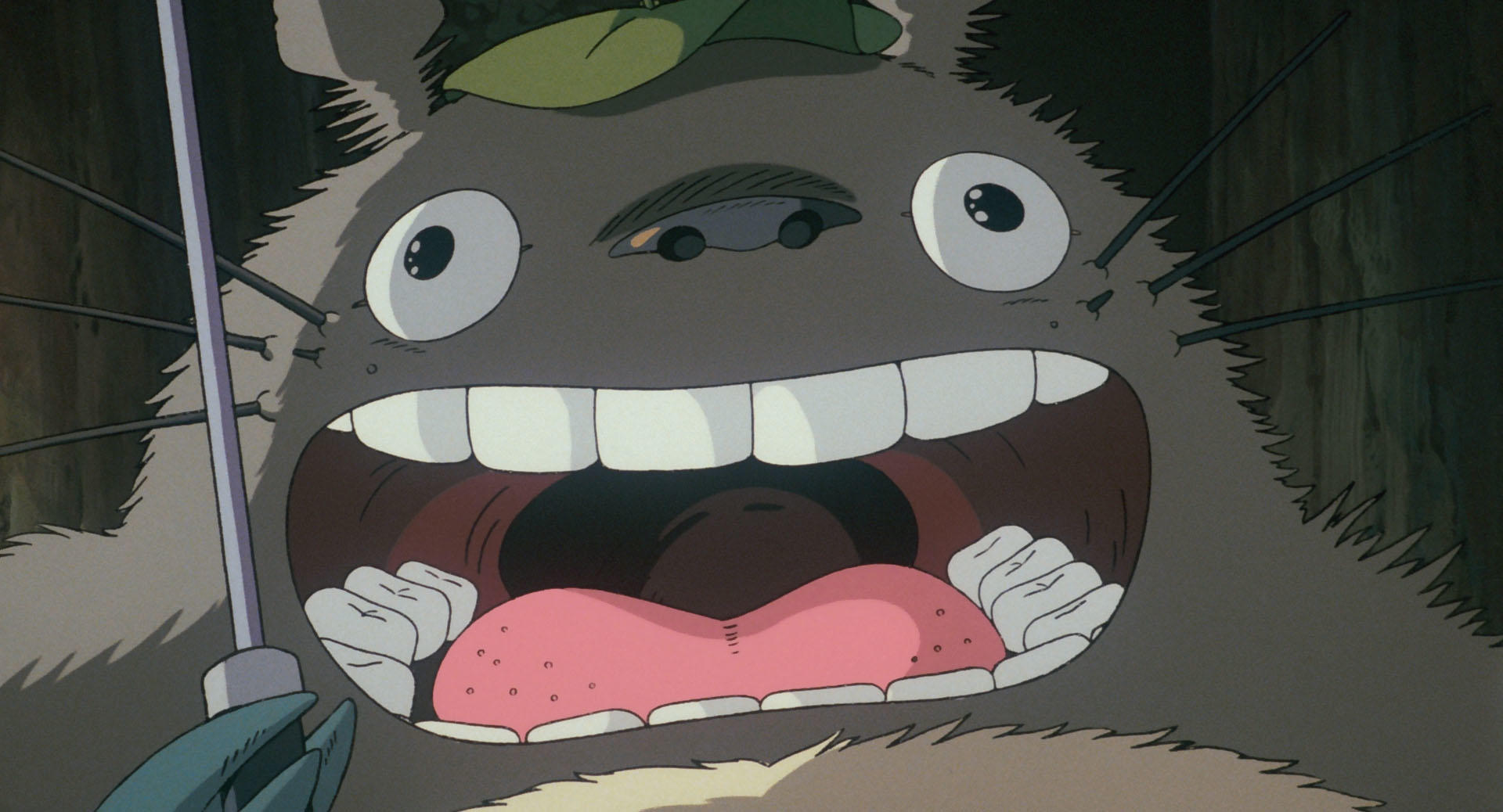 Anime 1920x1038 Studio Ghibli anime cartoon My Neighbor Totoro Anime screenshot creature