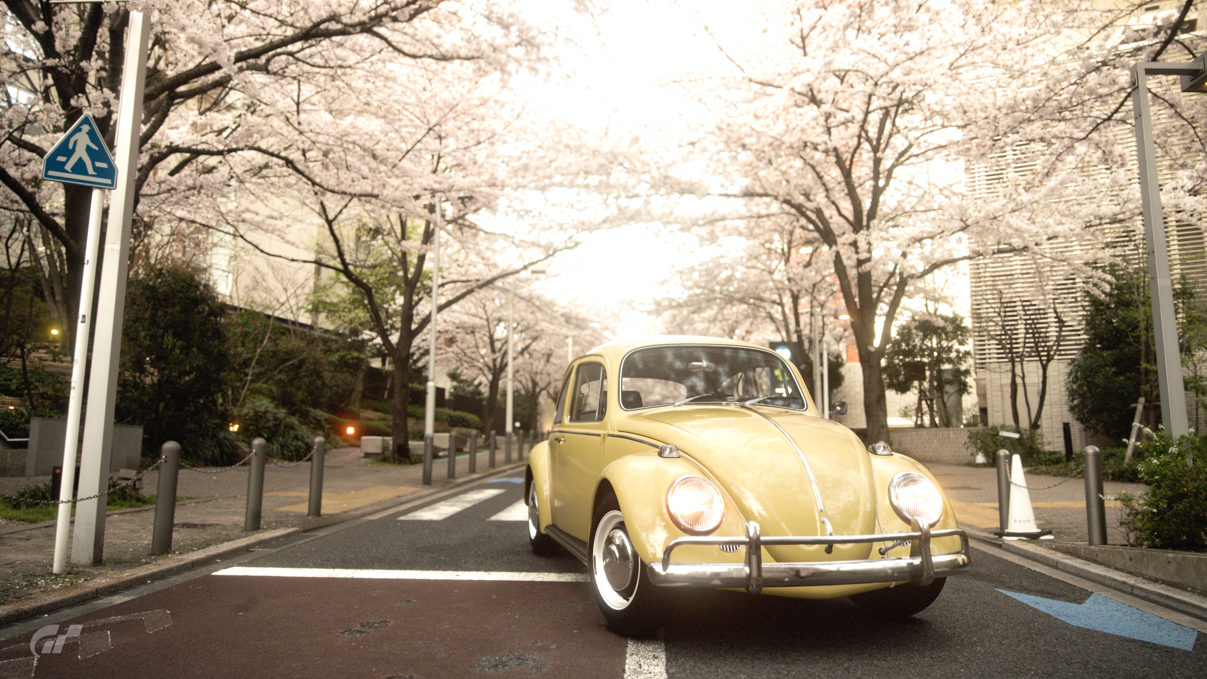 General 3840x2160 nature car vehicle video games Gran Turismo 7 Volkswagen Beetle cherry blossom Japan street frontal view trees road signs