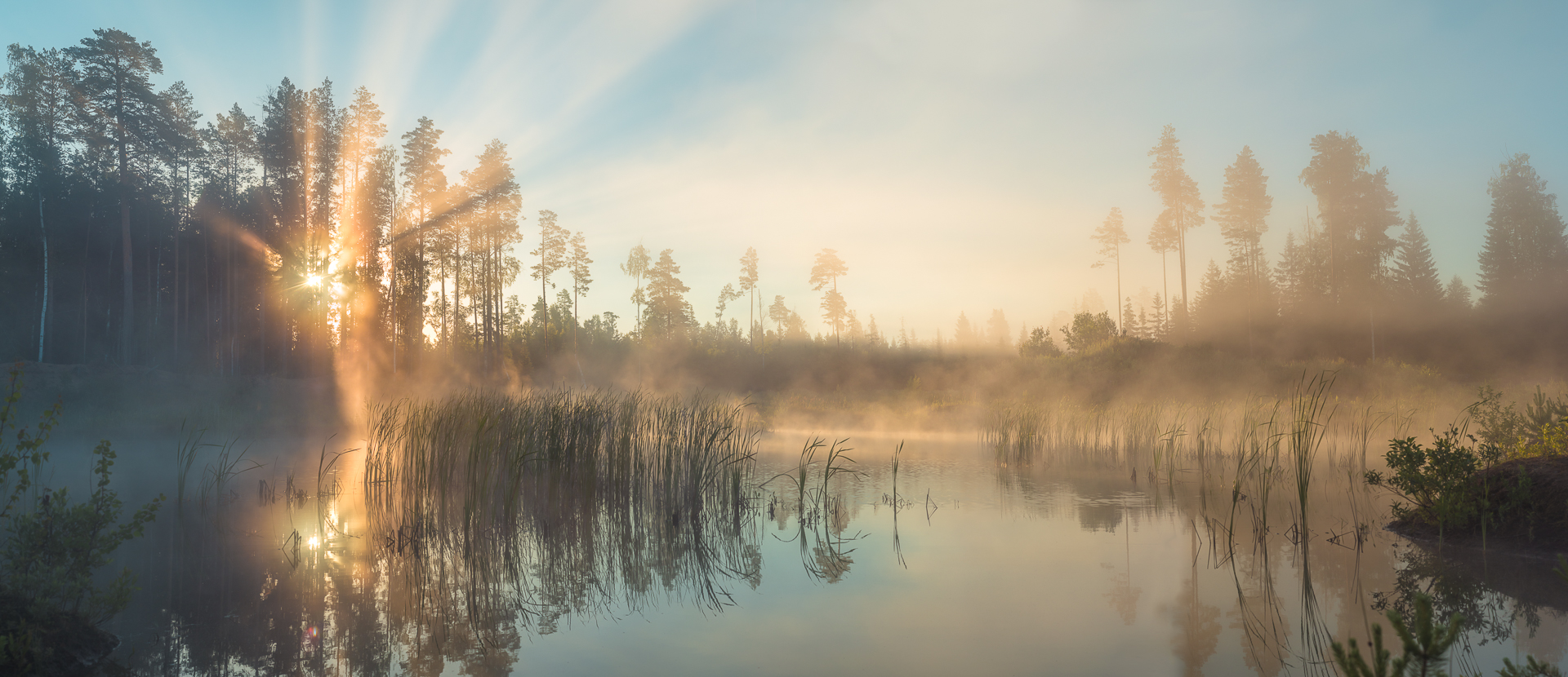 General 1920x830 sunset water forest mist nature landscape sunlight calm waters plants outdoors
