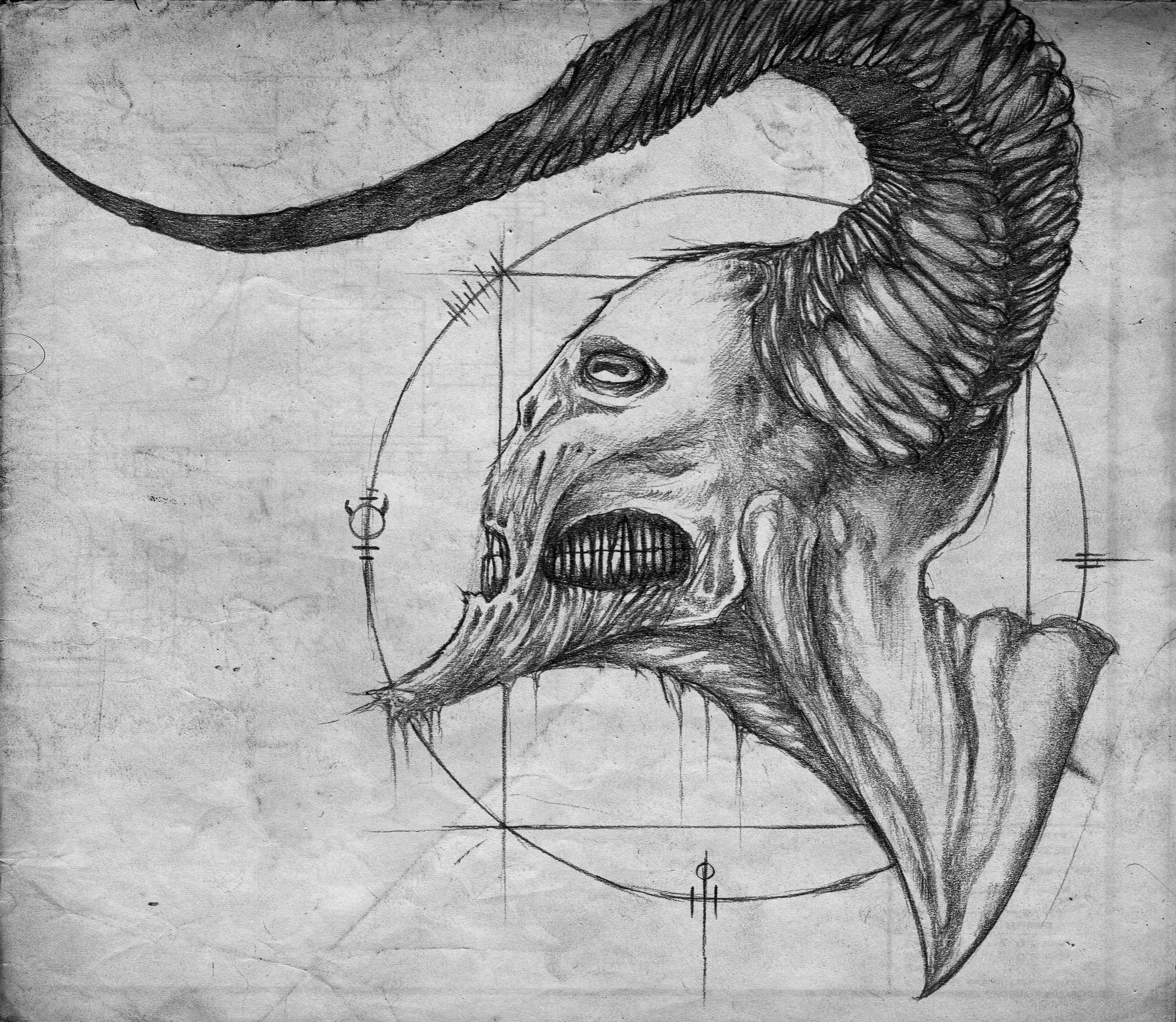 General 3433x2984 sketches horns graphite monochrome drawing white