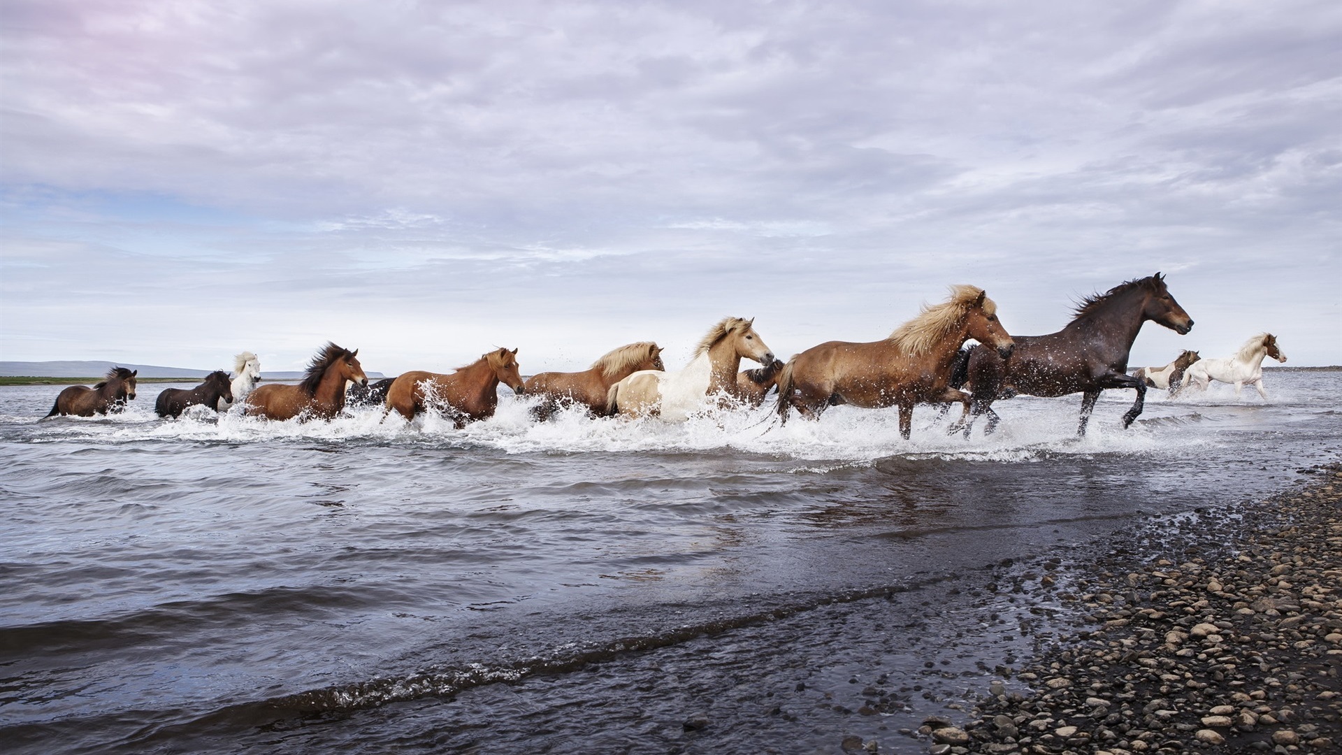 General 1920x1080 horse animals running waves beach clouds nature rocks