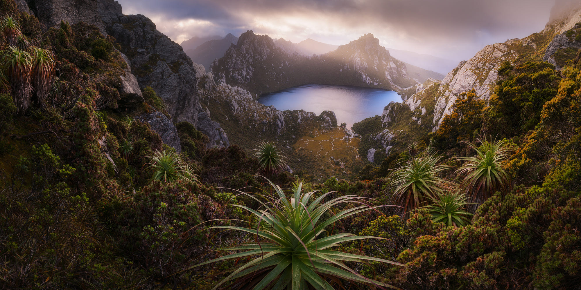 General 2000x1000 500px nature garden Australia Tasmania landscape mountains southwest national park plants