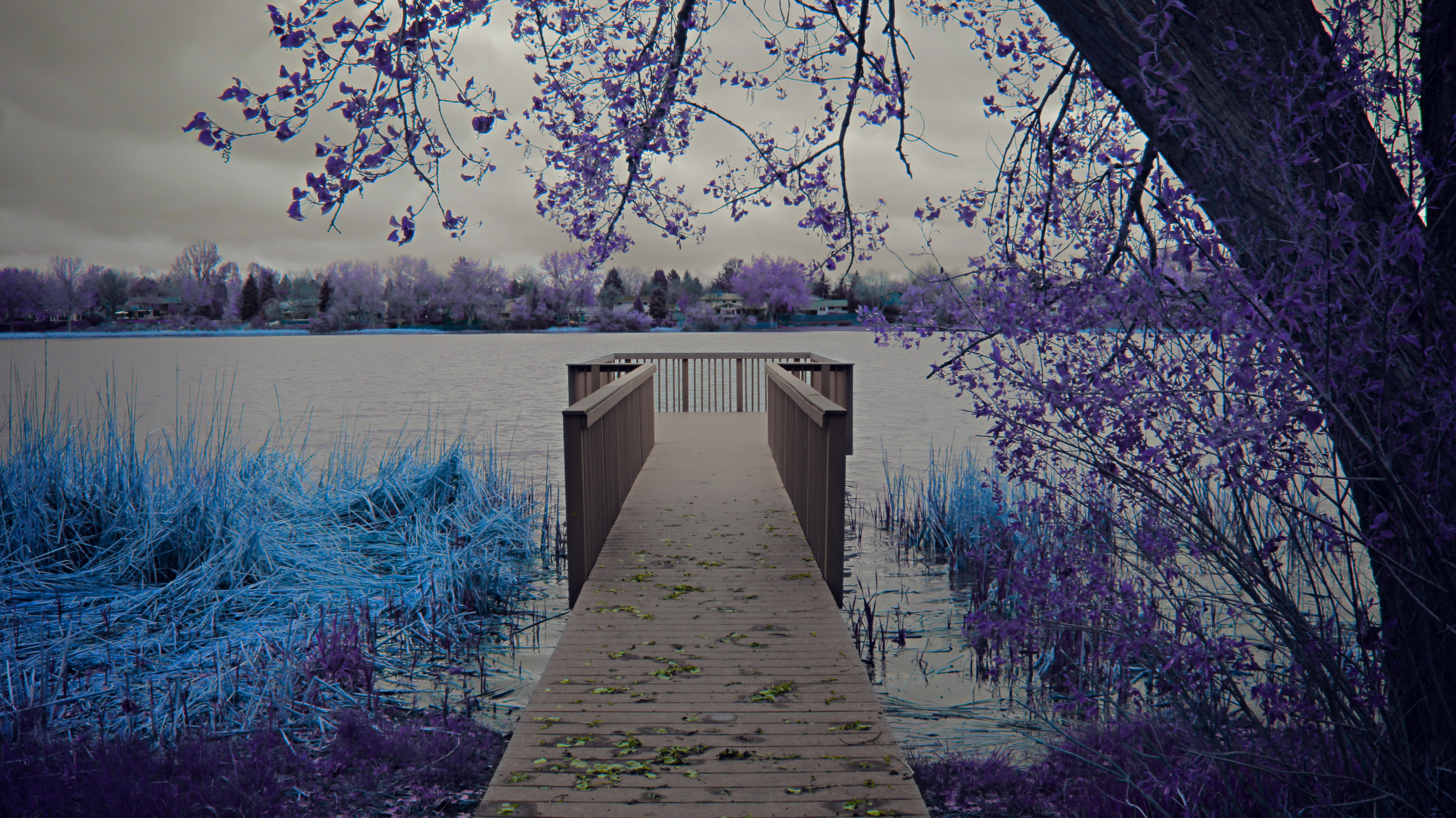 General 5184x2912 water lake trees fall nature blue purple violet turquoise photography digital art infrared