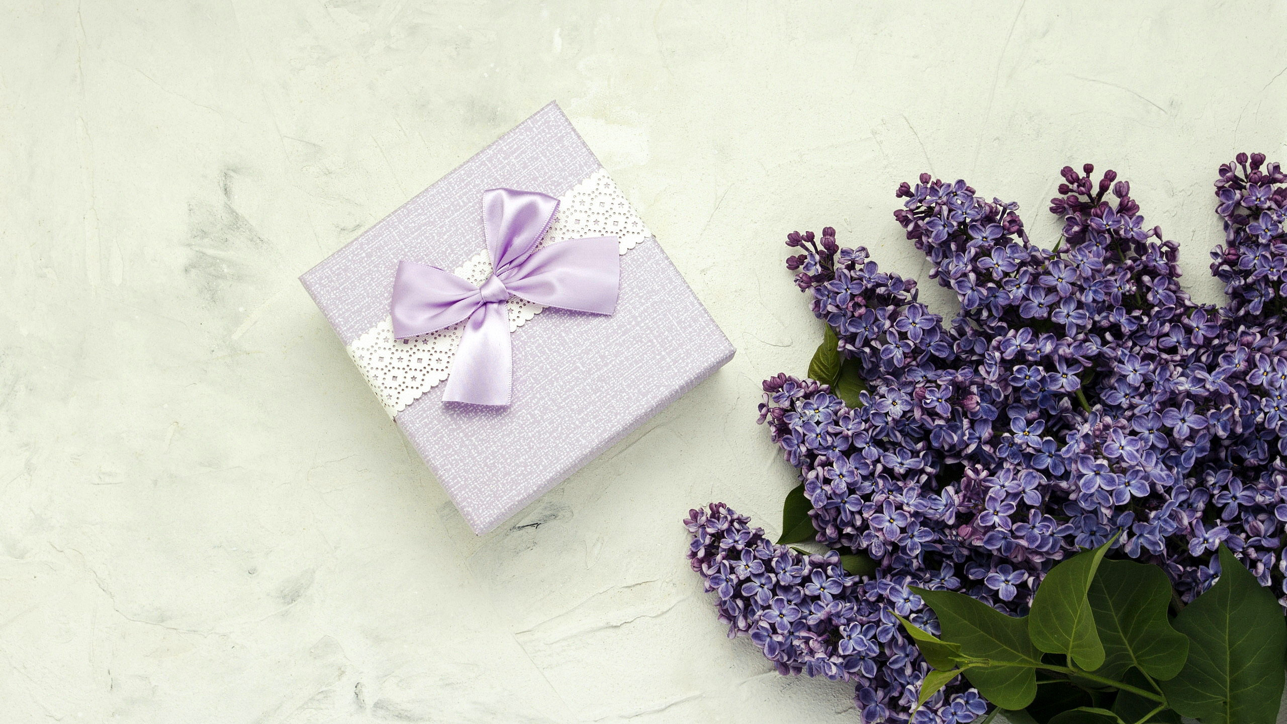 General 2560x1440 lavender flowers presents lilac simple background closeup