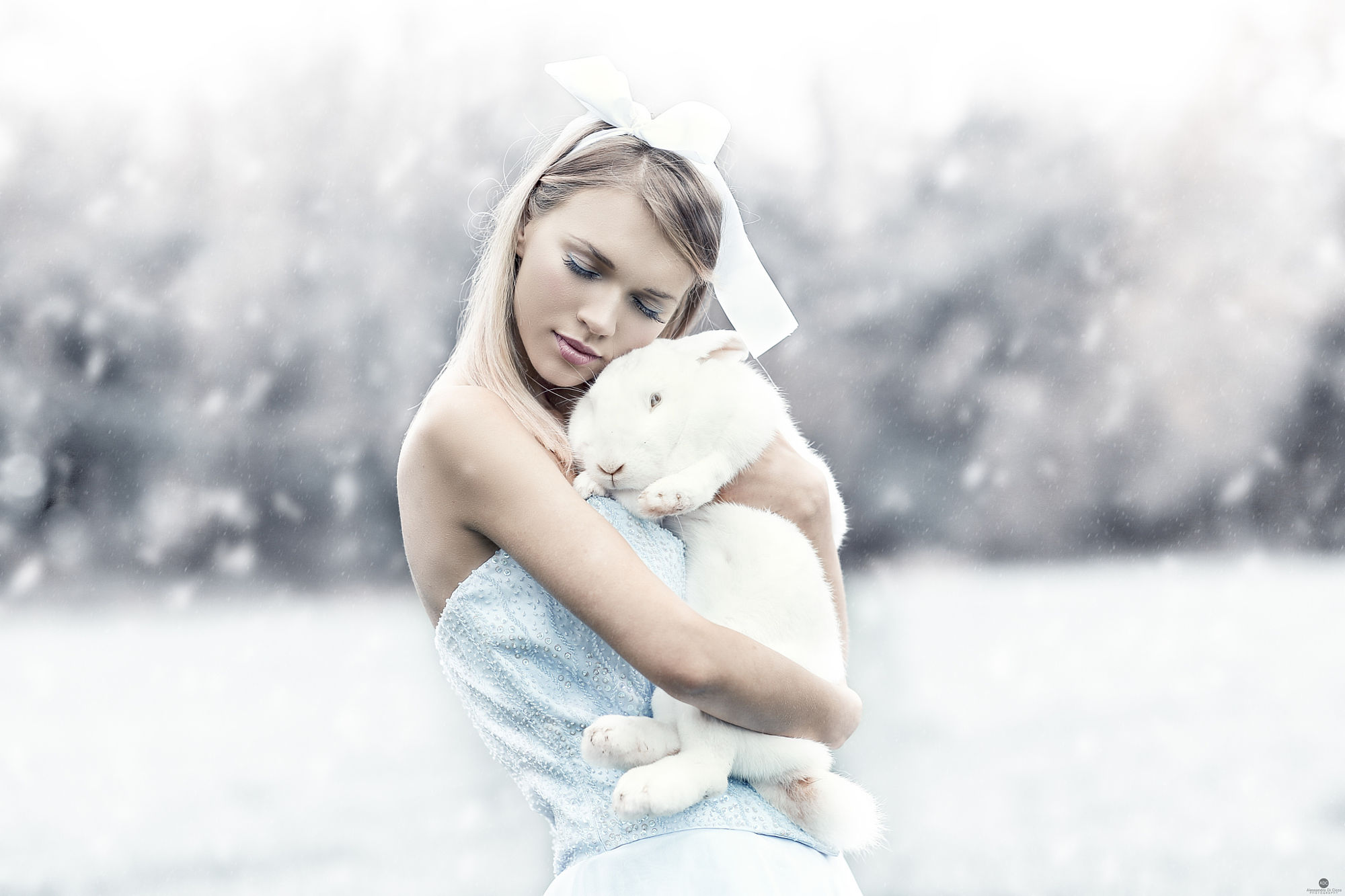 People 2000x1333 women blonde long hair rabbits dress white clothing snow winter ribbon hair accessories Alessandro Di Cicco makeup women outdoors animals mammals outdoors