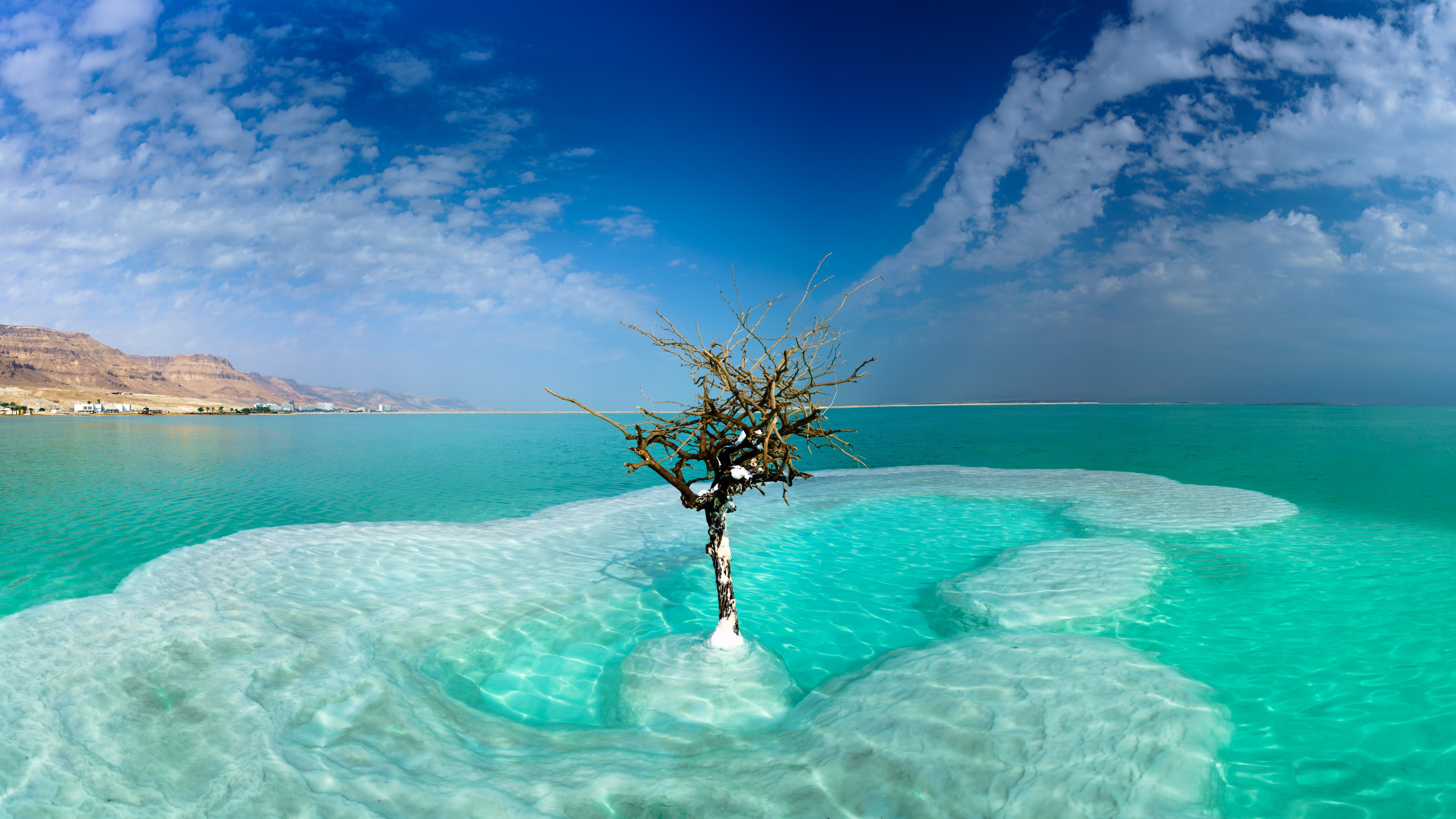 General 5120x2880 Dead Sea nature trees turquoise Israel