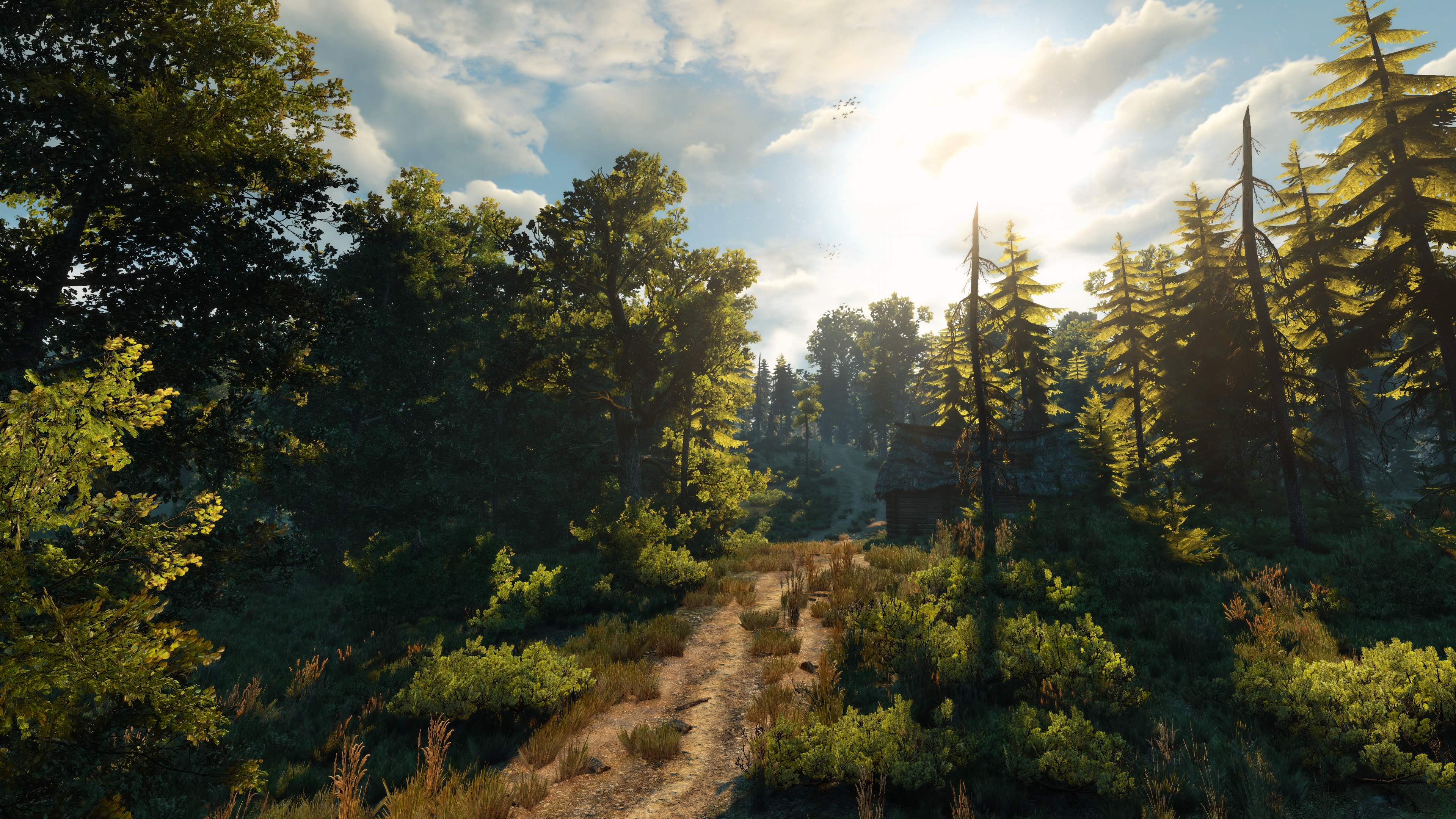 General 3840x2160 The Witcher 3: Wild Hunt screen shot video games forest The Witcher