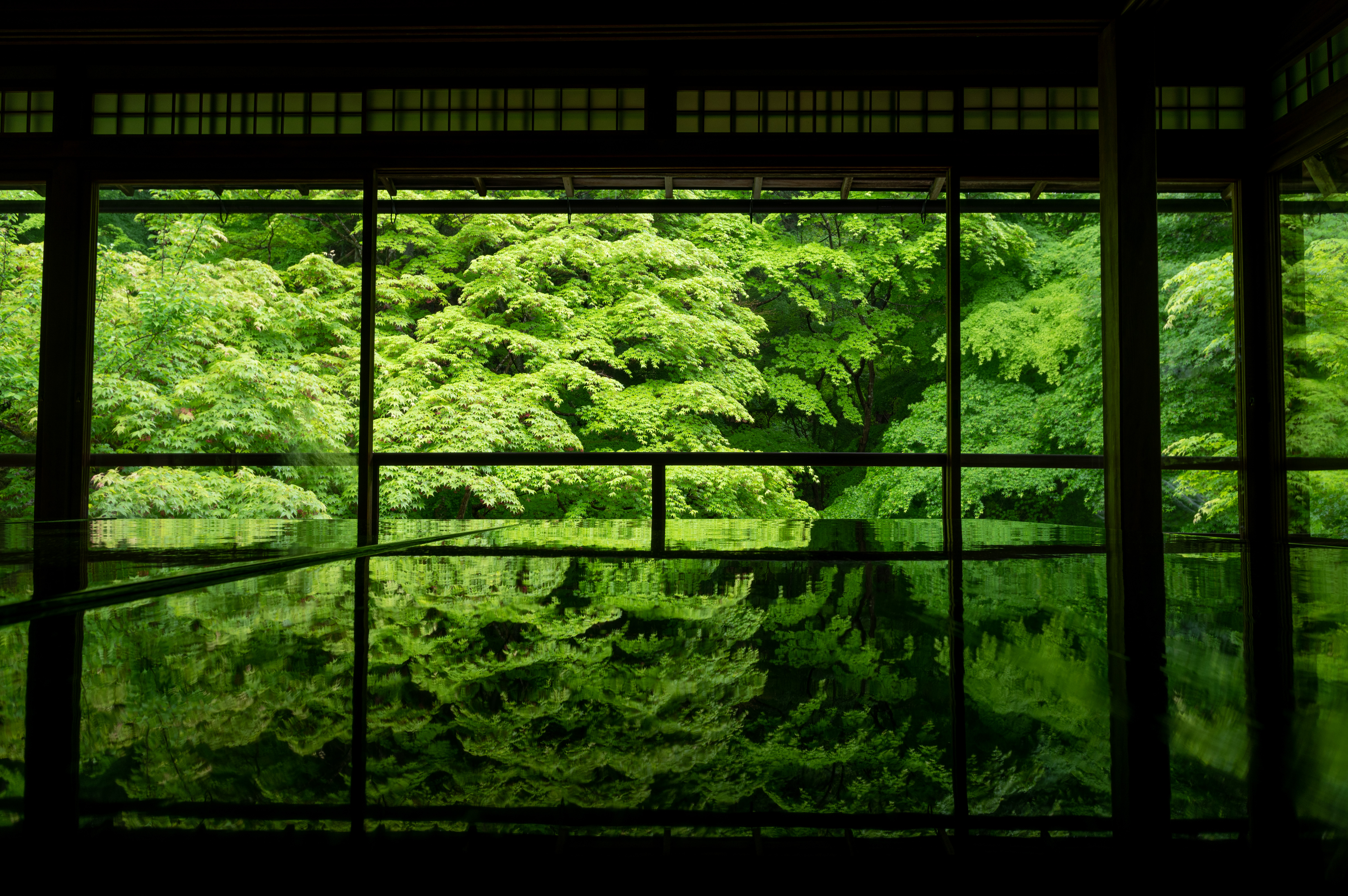 General 5966x3967 trees leaves water reflection dark low light temple Asian architecture Kyoto Japan