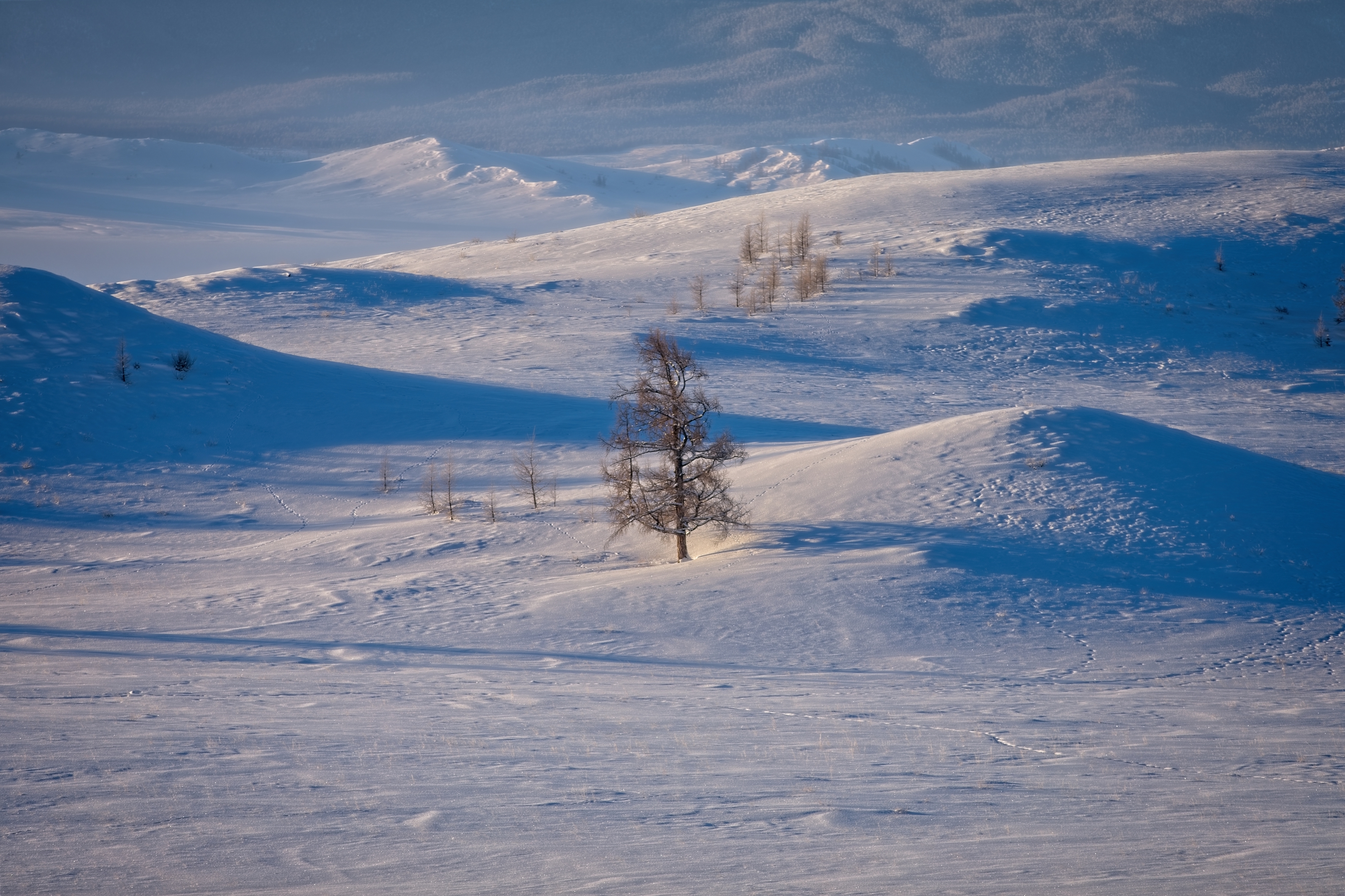 General 3500x2333 nature landscape snow winter trees