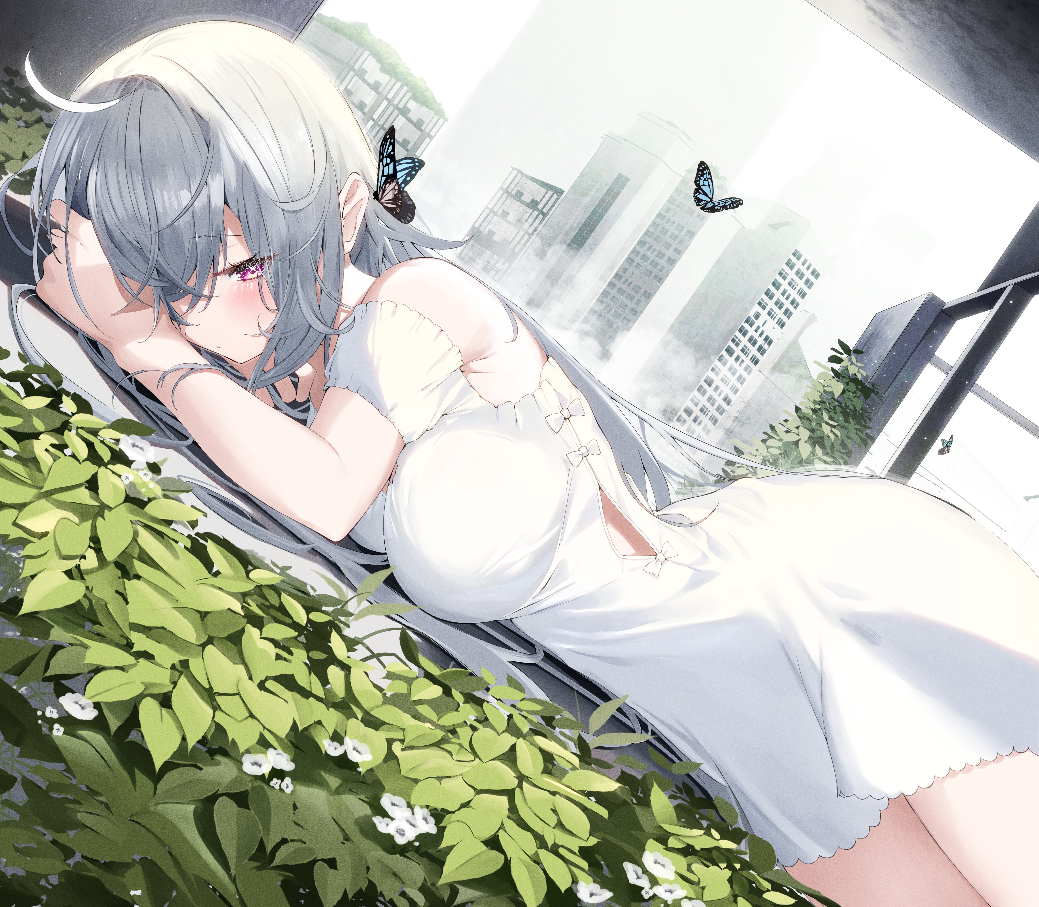 Anime 3612x3152 anime girls white dress gray hair purple eyes looking at viewer leaves white flowers butterfly one eye obstructed ahoge long hair lying on front Kamioka Shun'ya blushing lying down Blue Butterflies women outdoors sky