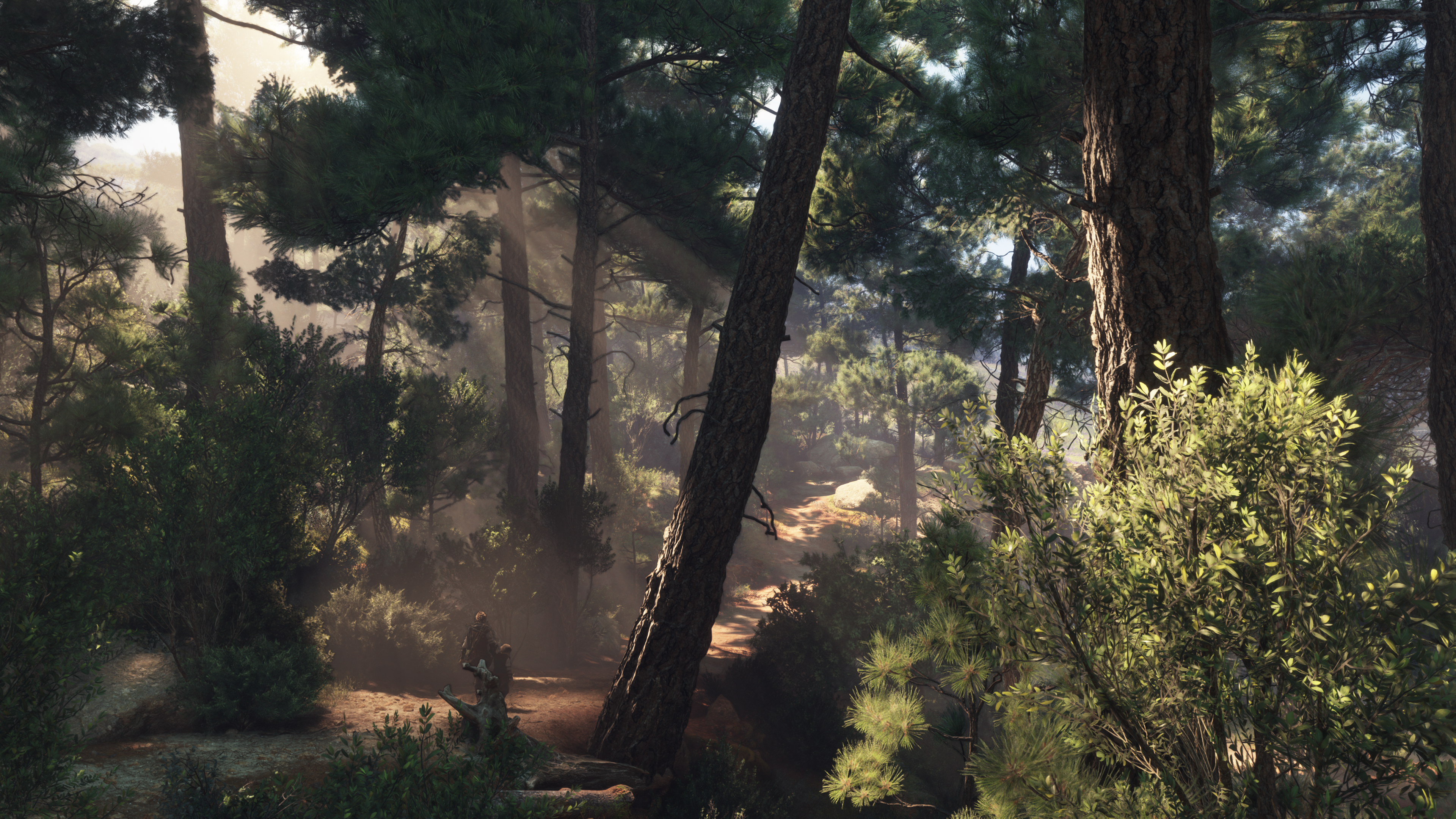 General 3840x2160 A Plague Tale Requiem video games forest CGI video game characters video game art trees nature sunlight
