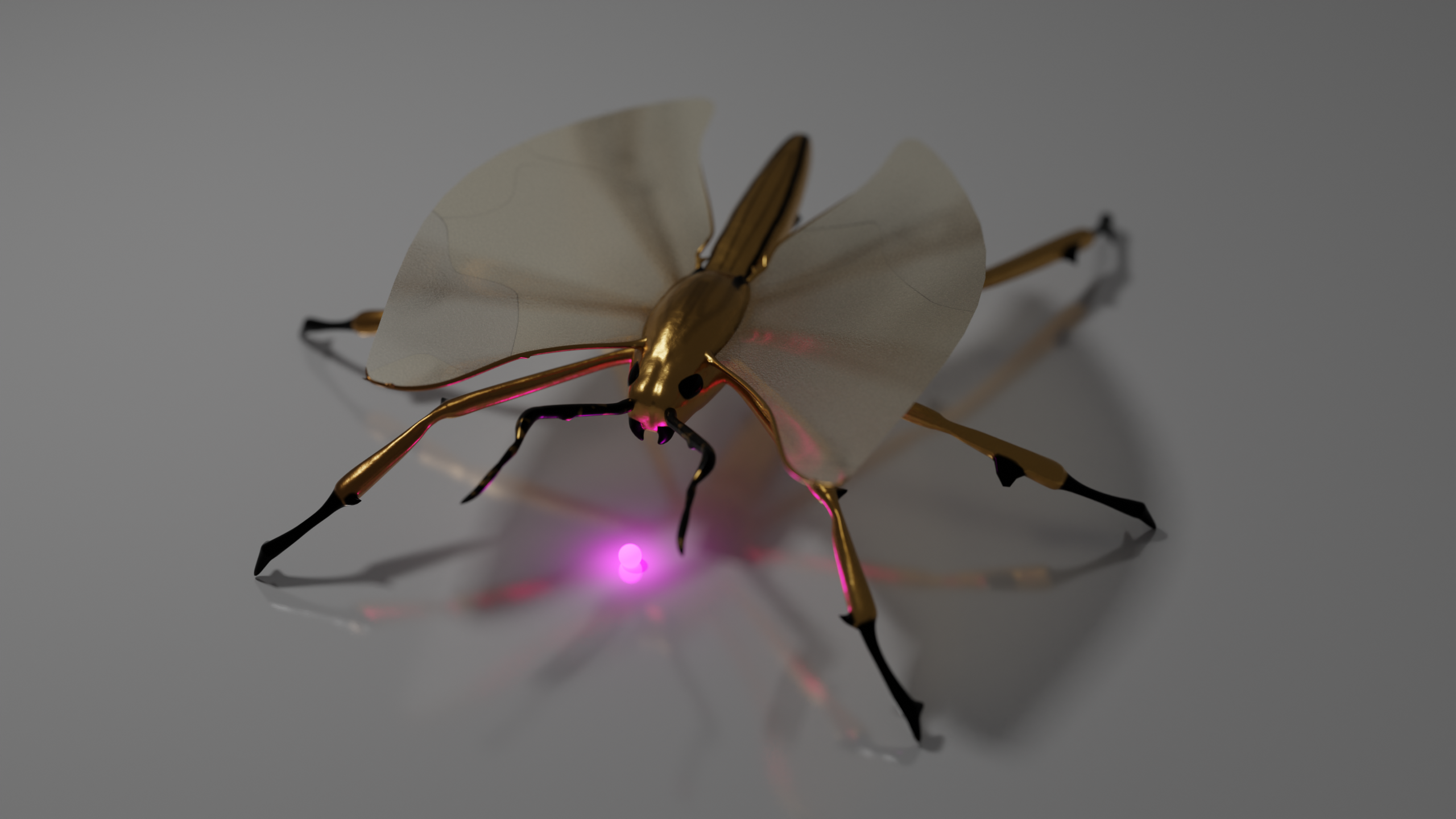 General 2560x1440 CGI digital art bug macro Blender gold insect