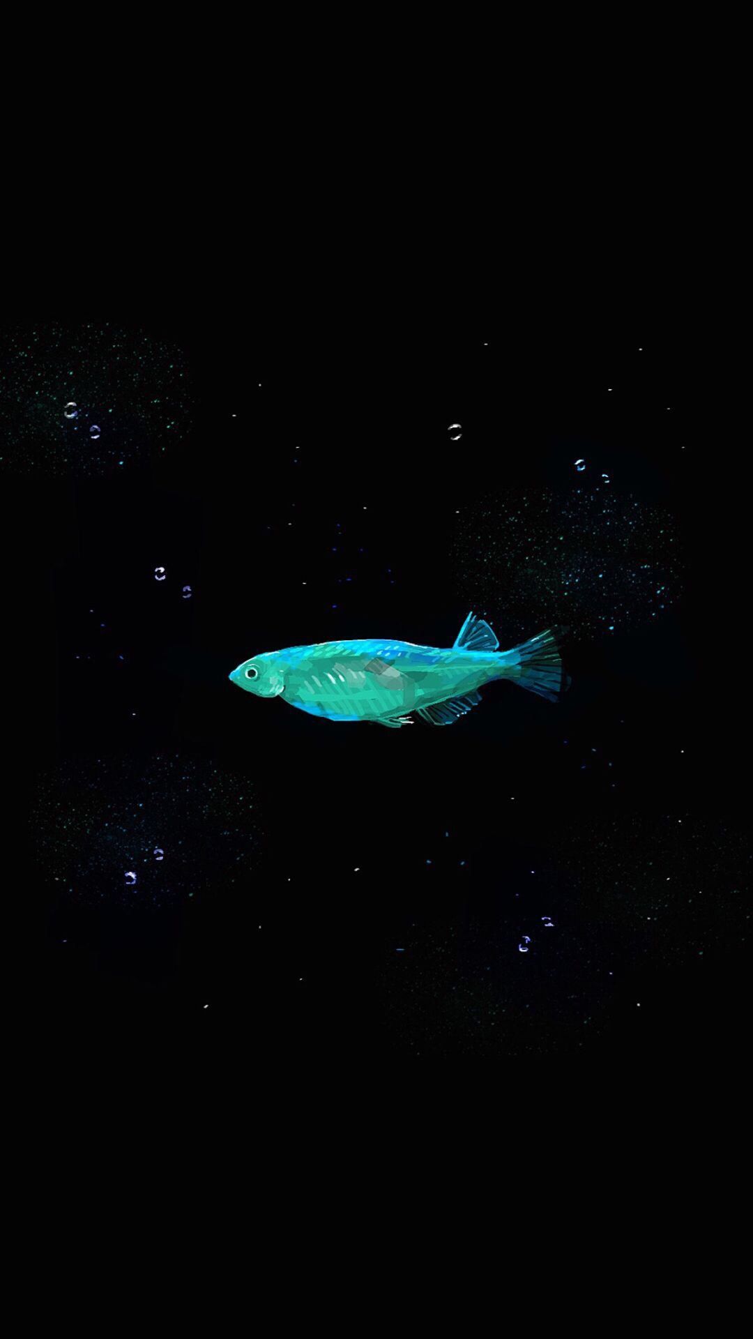 General 1080x1920 portrait display fish black background simple background minimalism Rice Fish