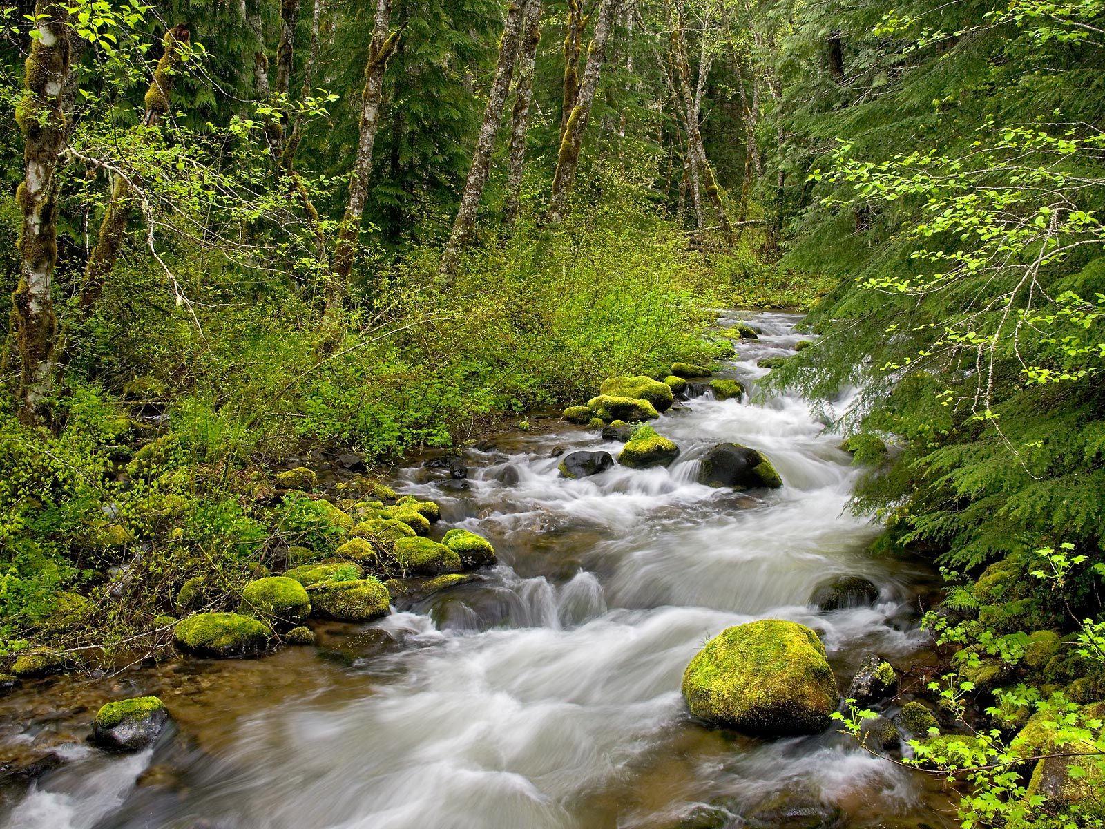 General 1600x1200 nature water rocks trees