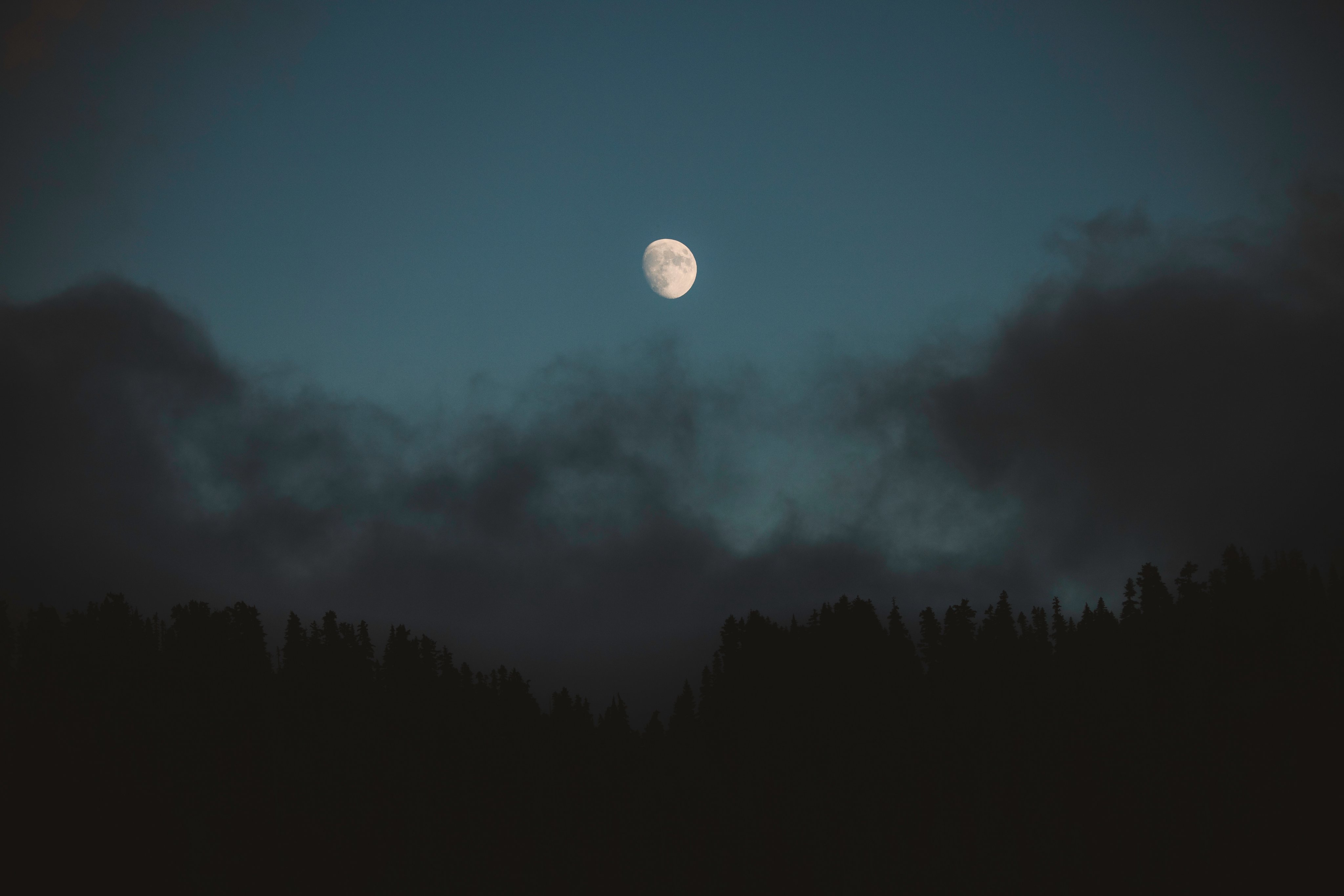 General 4096x2731 nature clouds pine trees forest Moon moonlight night sky low light