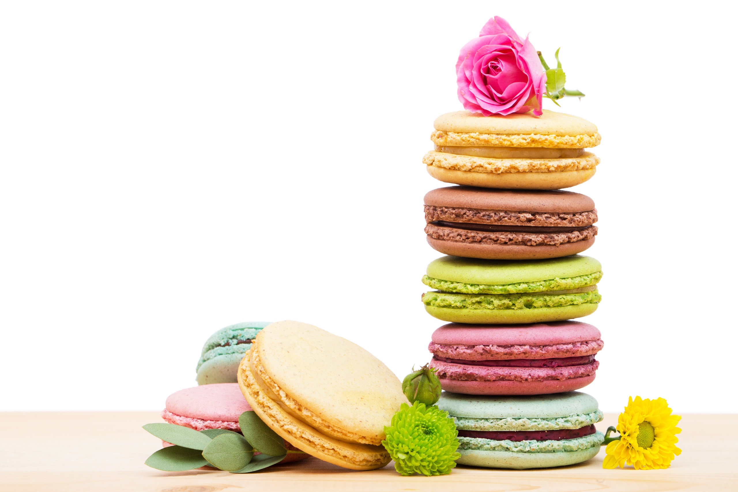 General 2560x1707 food colorful sweets flowers plants macarons