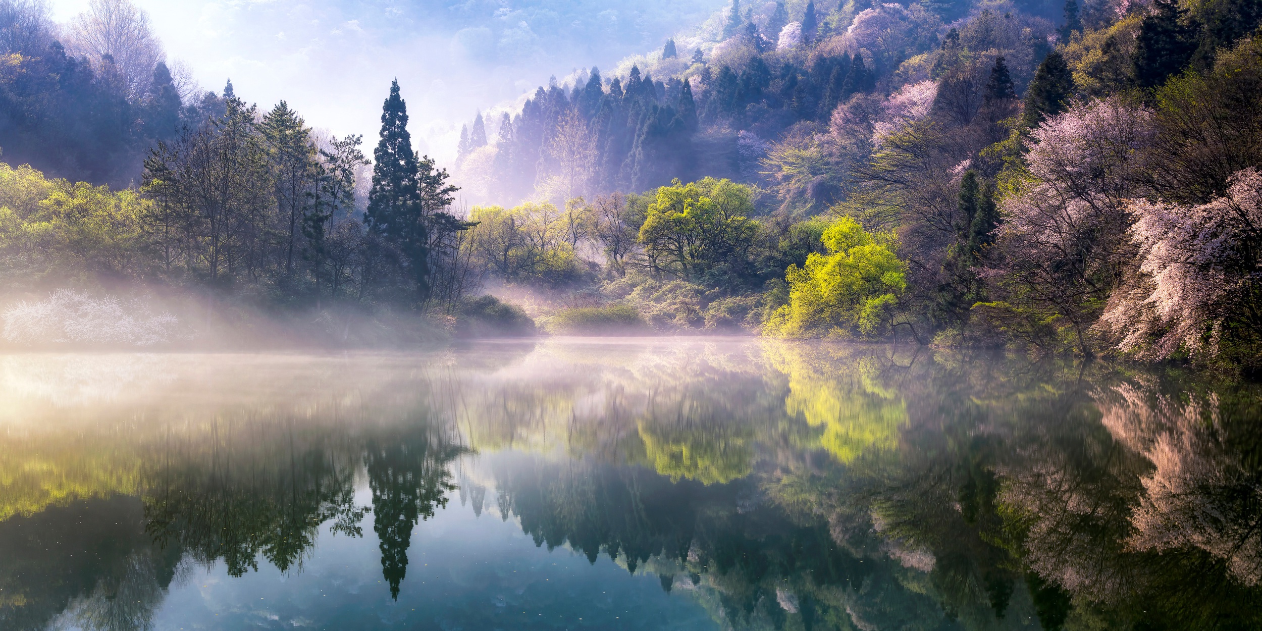 General 2500x1250 nature water reflection South Korea trees green