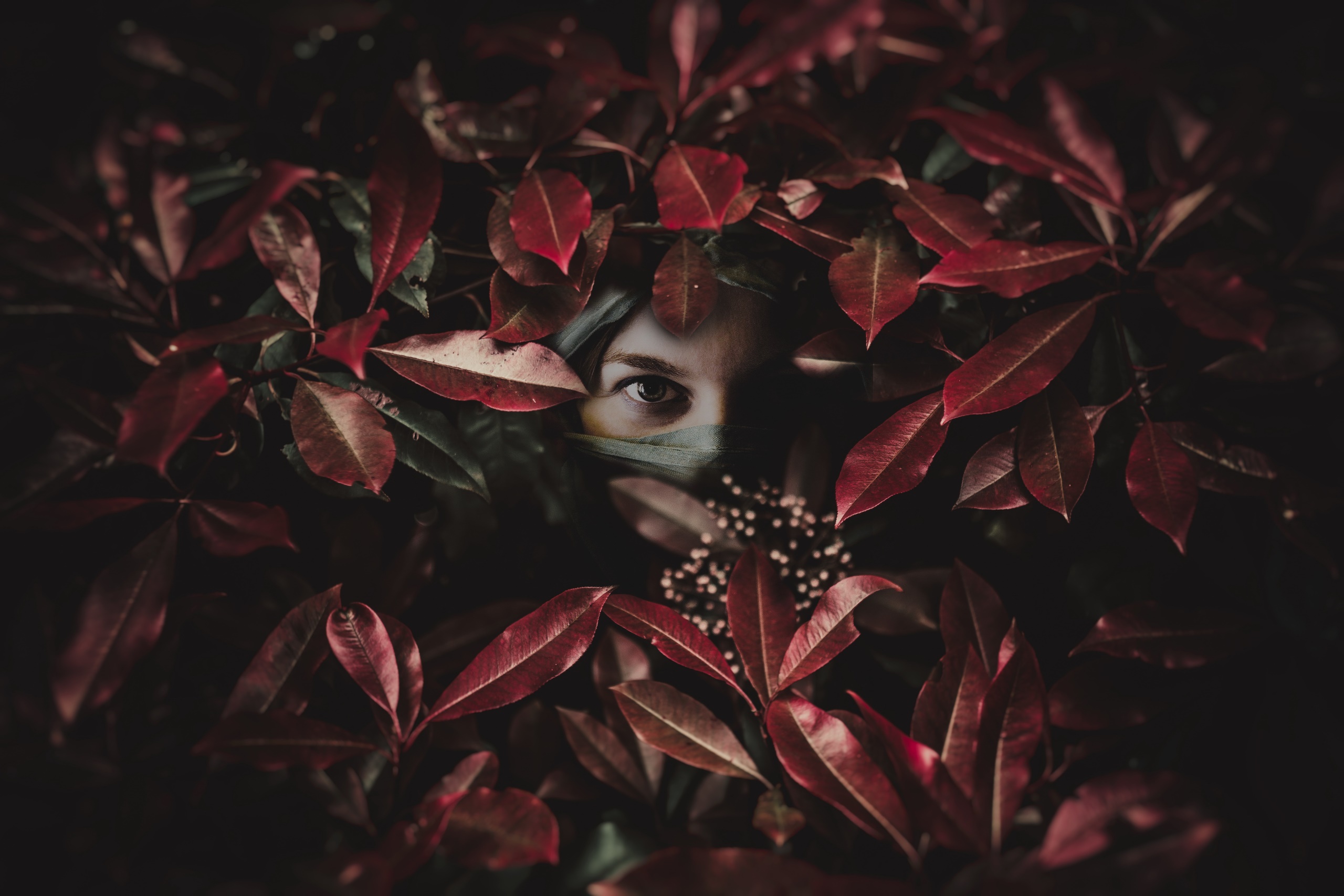 People 2560x1707 women face eyes leaves plants frontal view hiding