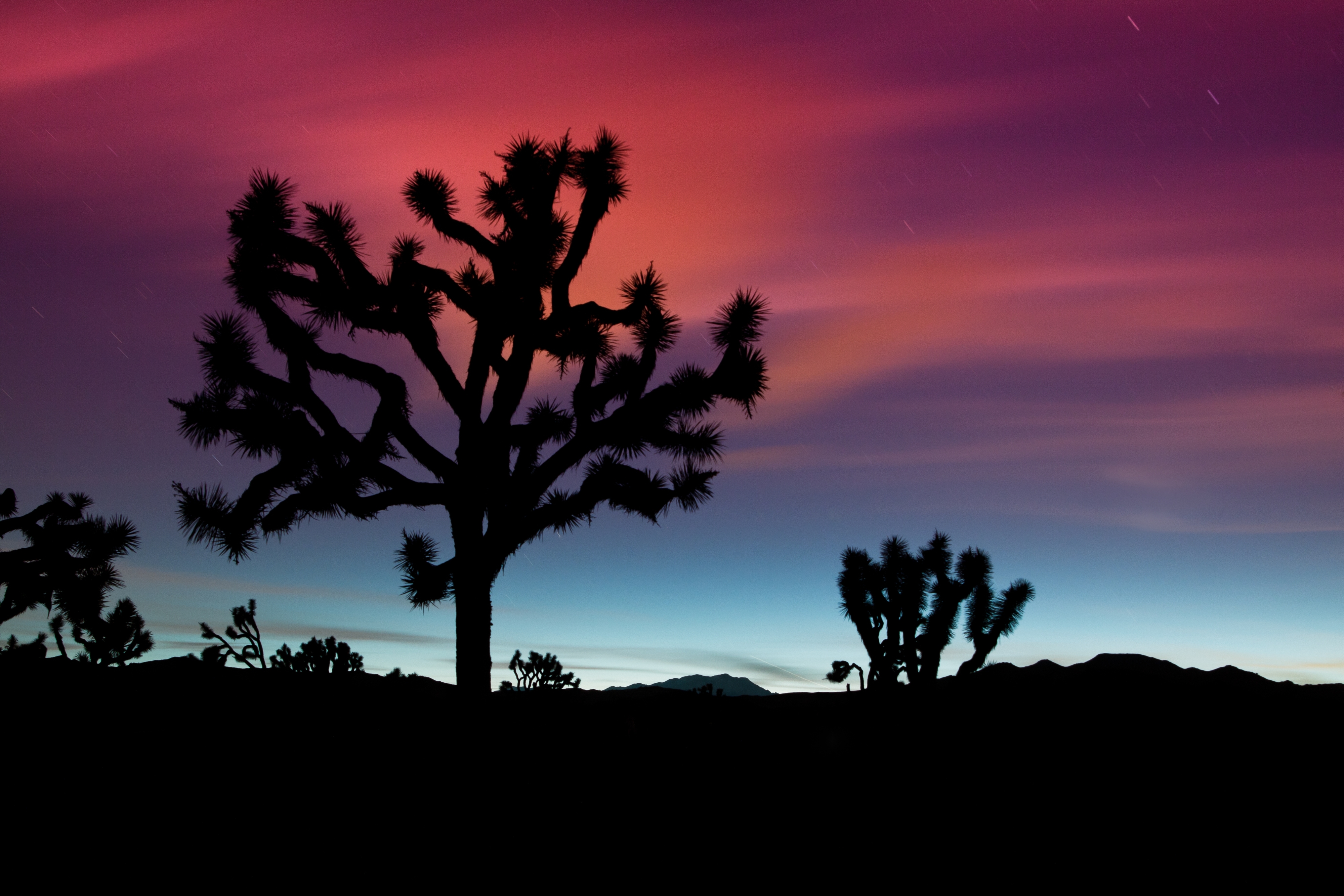 General 4000x2667 silhouette trees long exposure skyscape red dark desert night