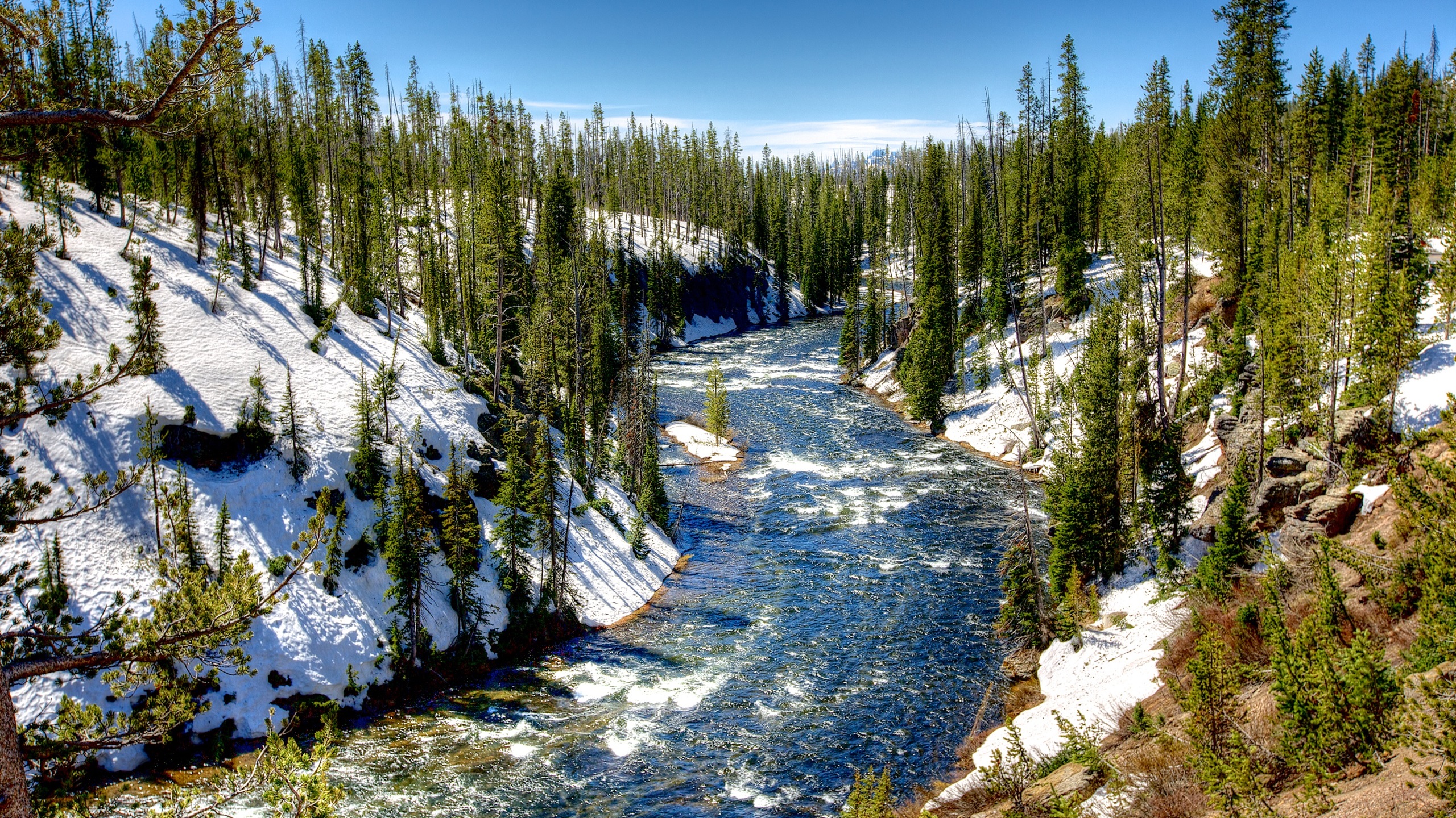 General 2560x1440 river trees sky snow nature landscape winter Yellowstone National Park USA