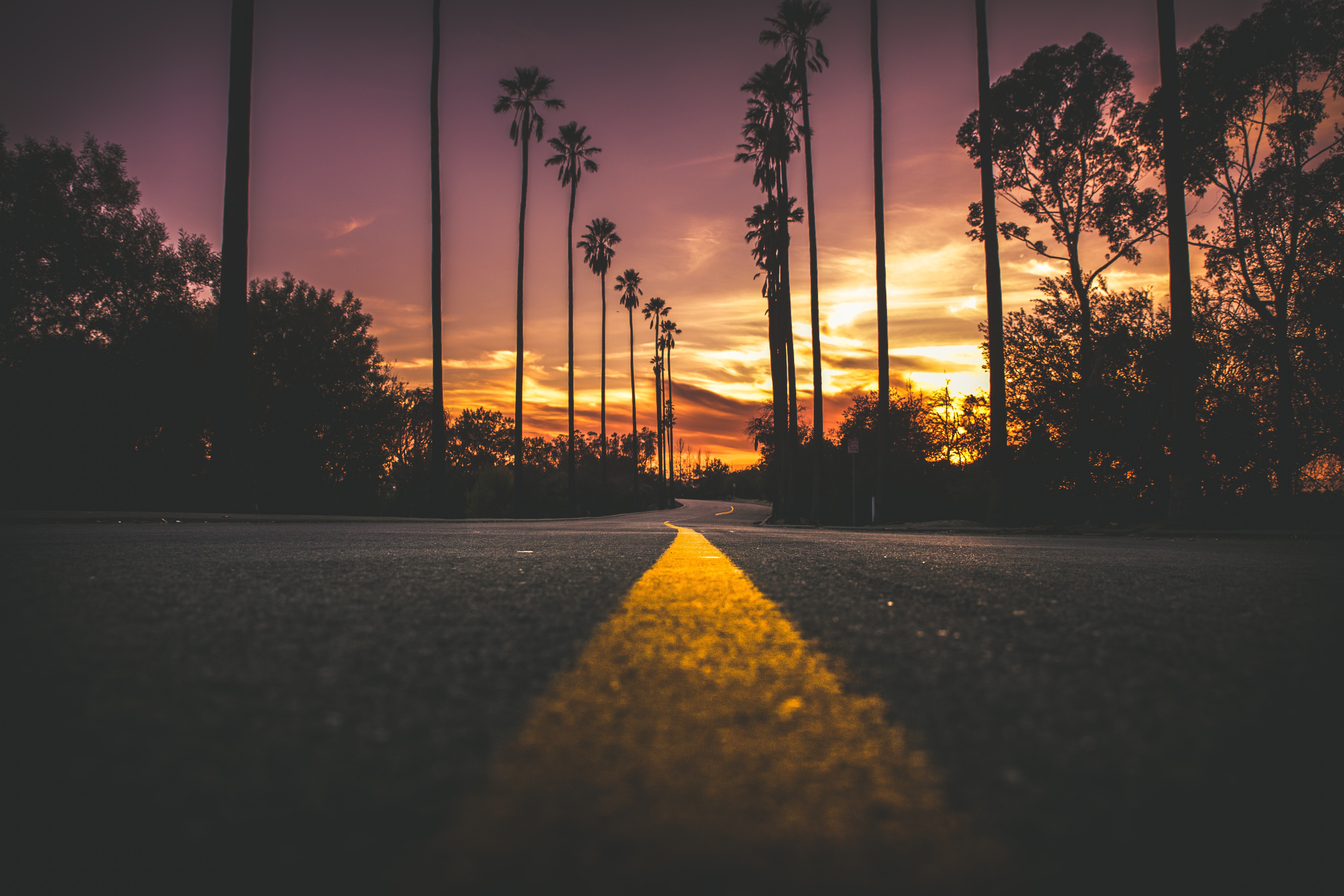 General 5279x3519 landscape nature road sunset palm trees asphalt silhouette orange sky closeup