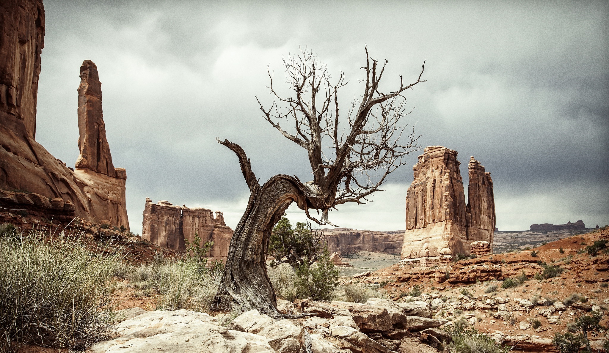 General 2048x1188 USA Utah landscape rocks nature desert overcast rock formation dead trees
