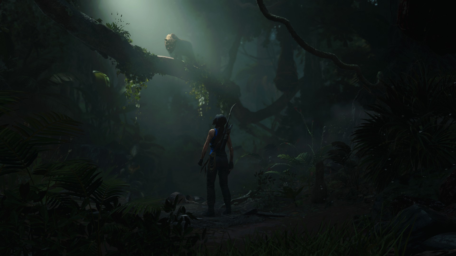 General 1920x1080 Shadow of the Tomb Raider Tomb Raider PC gaming video games screen shot Lara Croft (Tomb Raider)