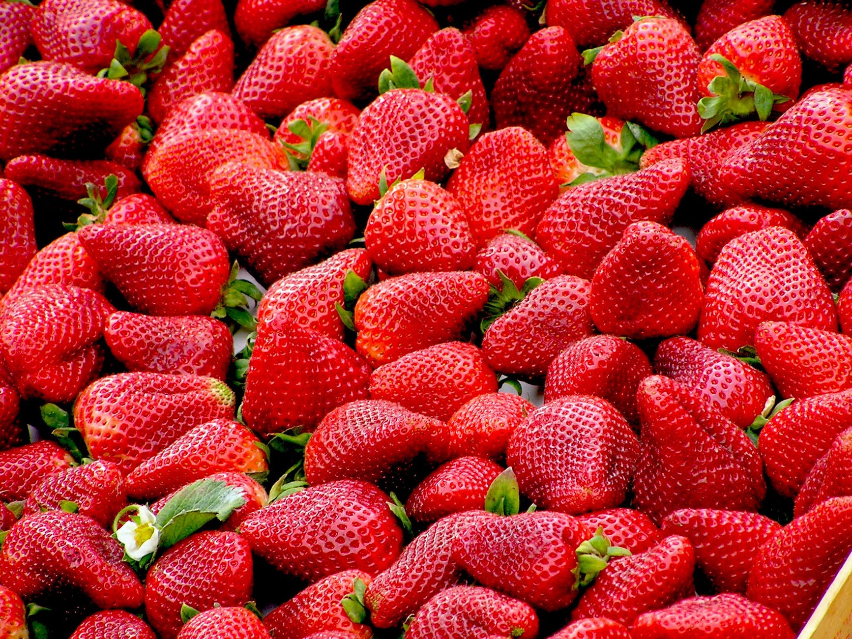 General 1733x1300 strawberries fruit food red