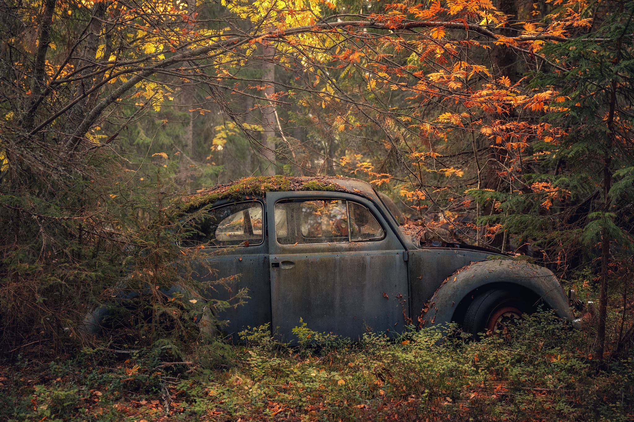 General 2048x1365 car wreck vehicle fall forest