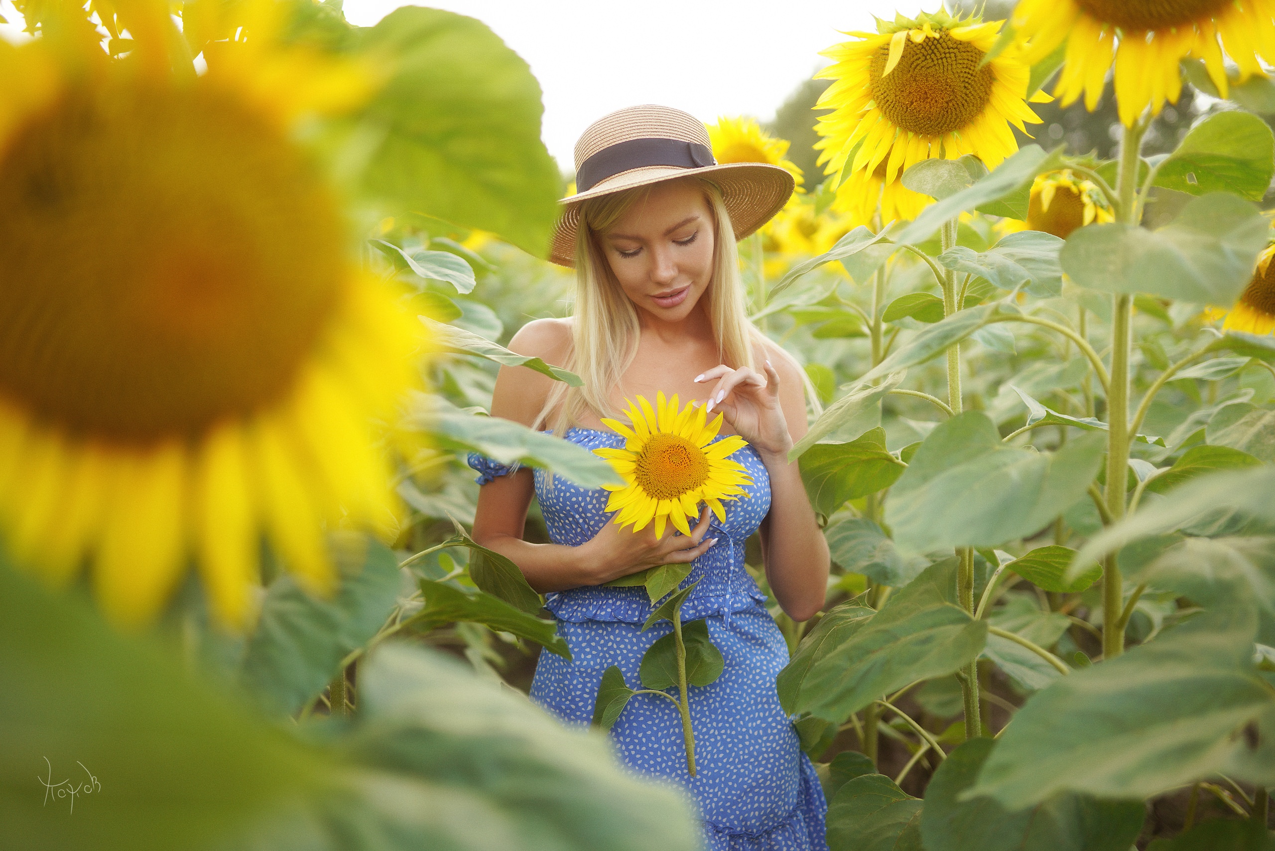 People 2560x1708 women hat dress Andrey Popov sunflowers women outdoors blonde