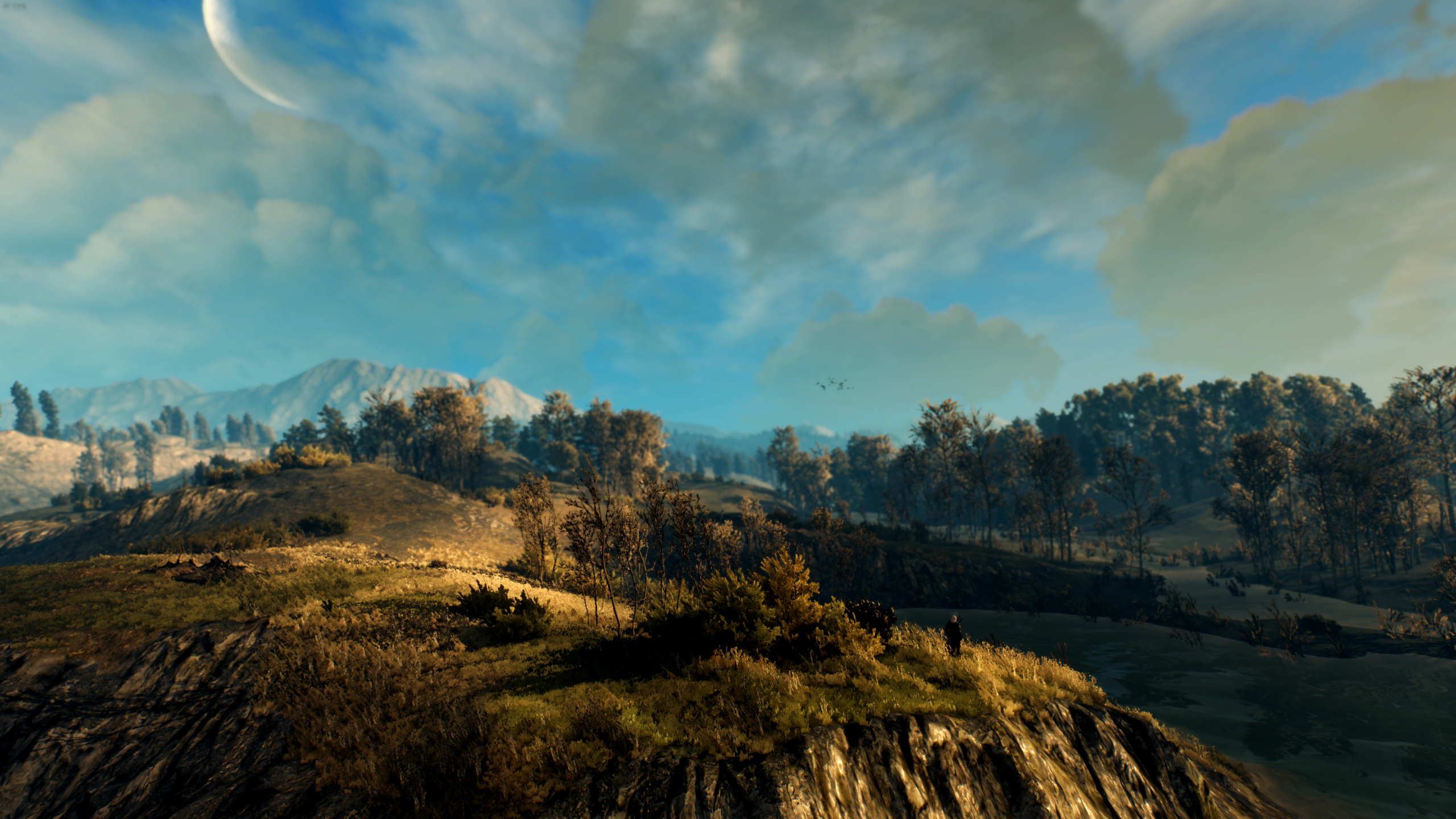 General 2560x1440 The Witcher 3: Wild Hunt Game Mod The Witcher screen shot