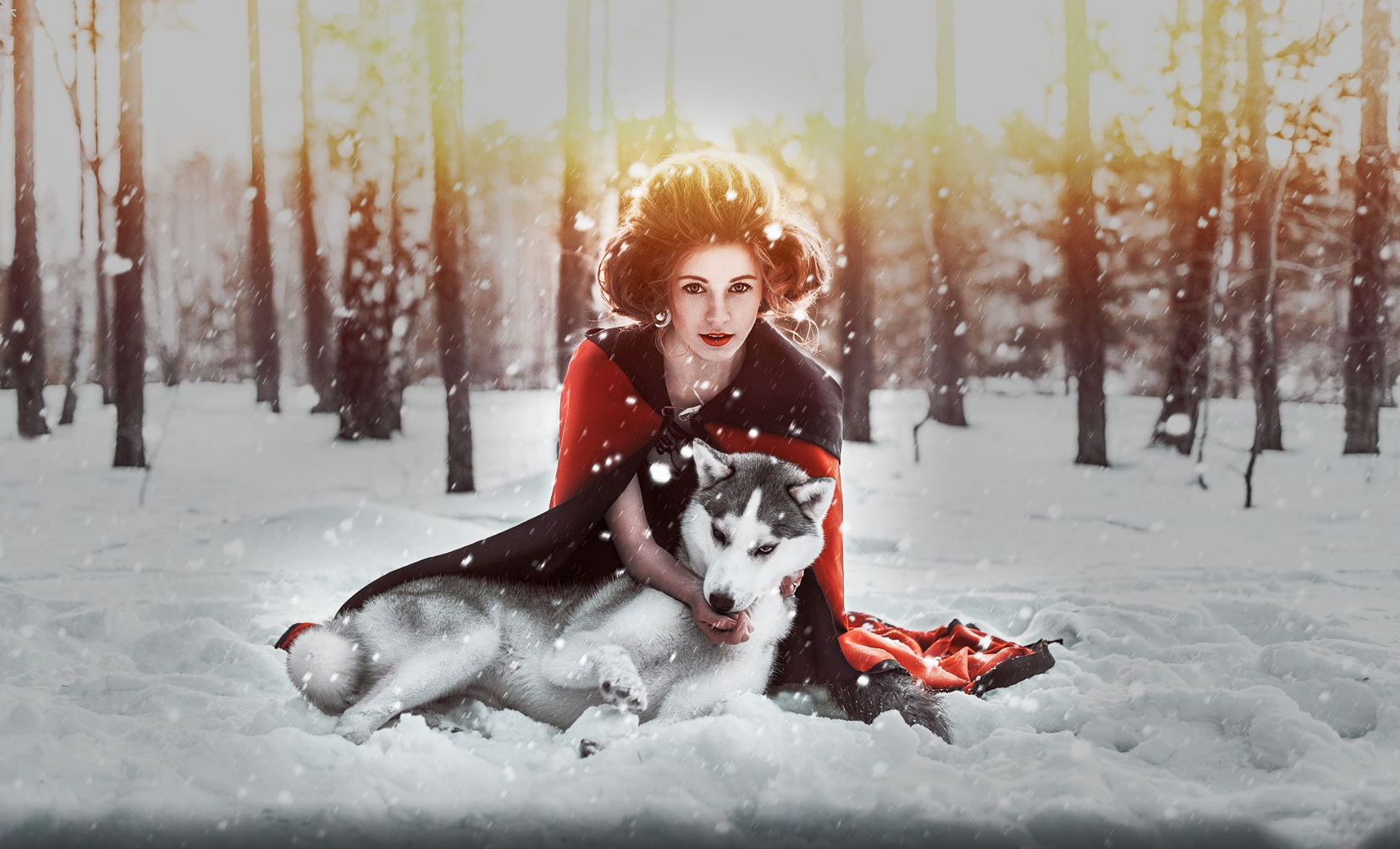 People 1654x1003 women wolf snow trees winter sun rays Ilya Novitsky Little Red Riding Hood